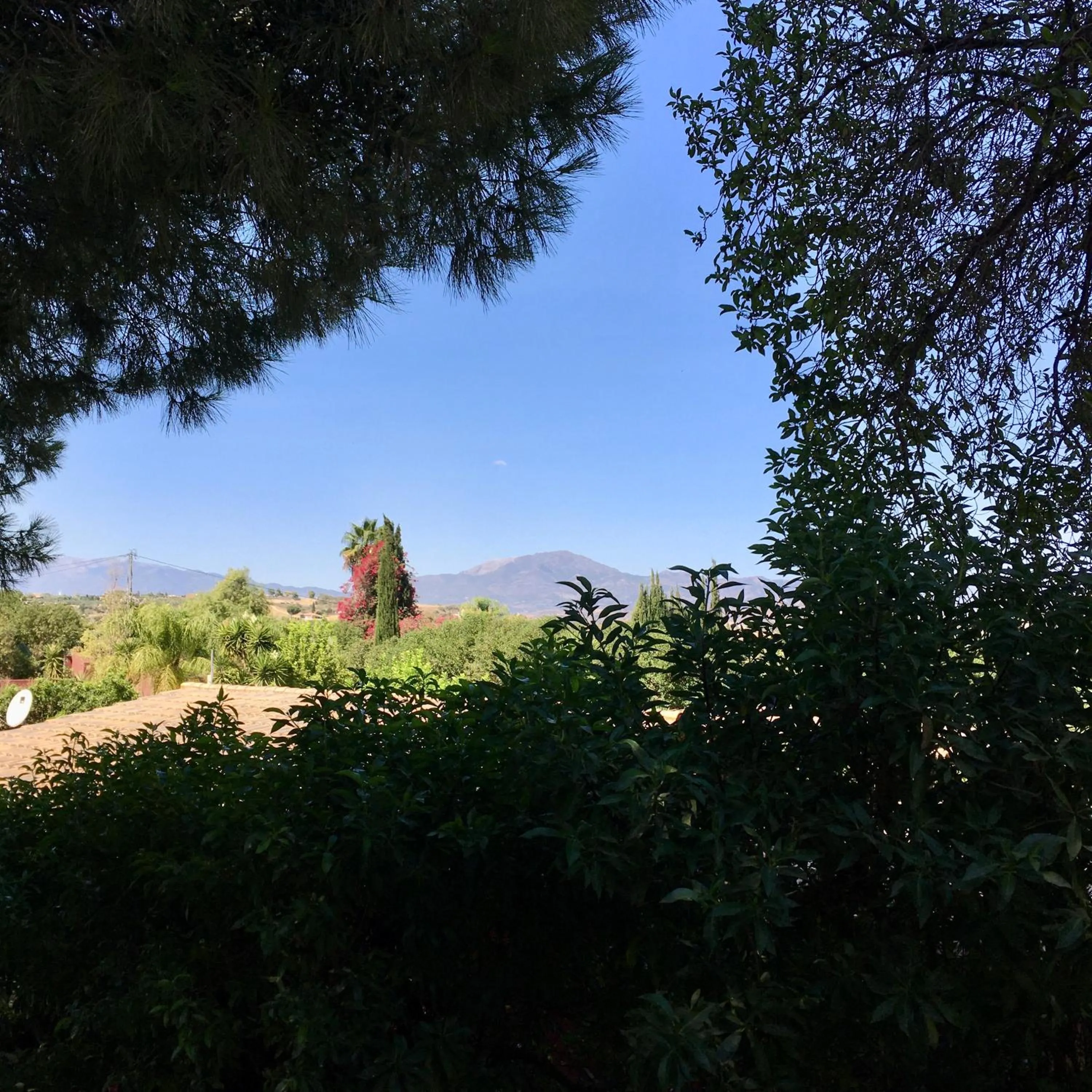 Natural landscape in Finca Fahala