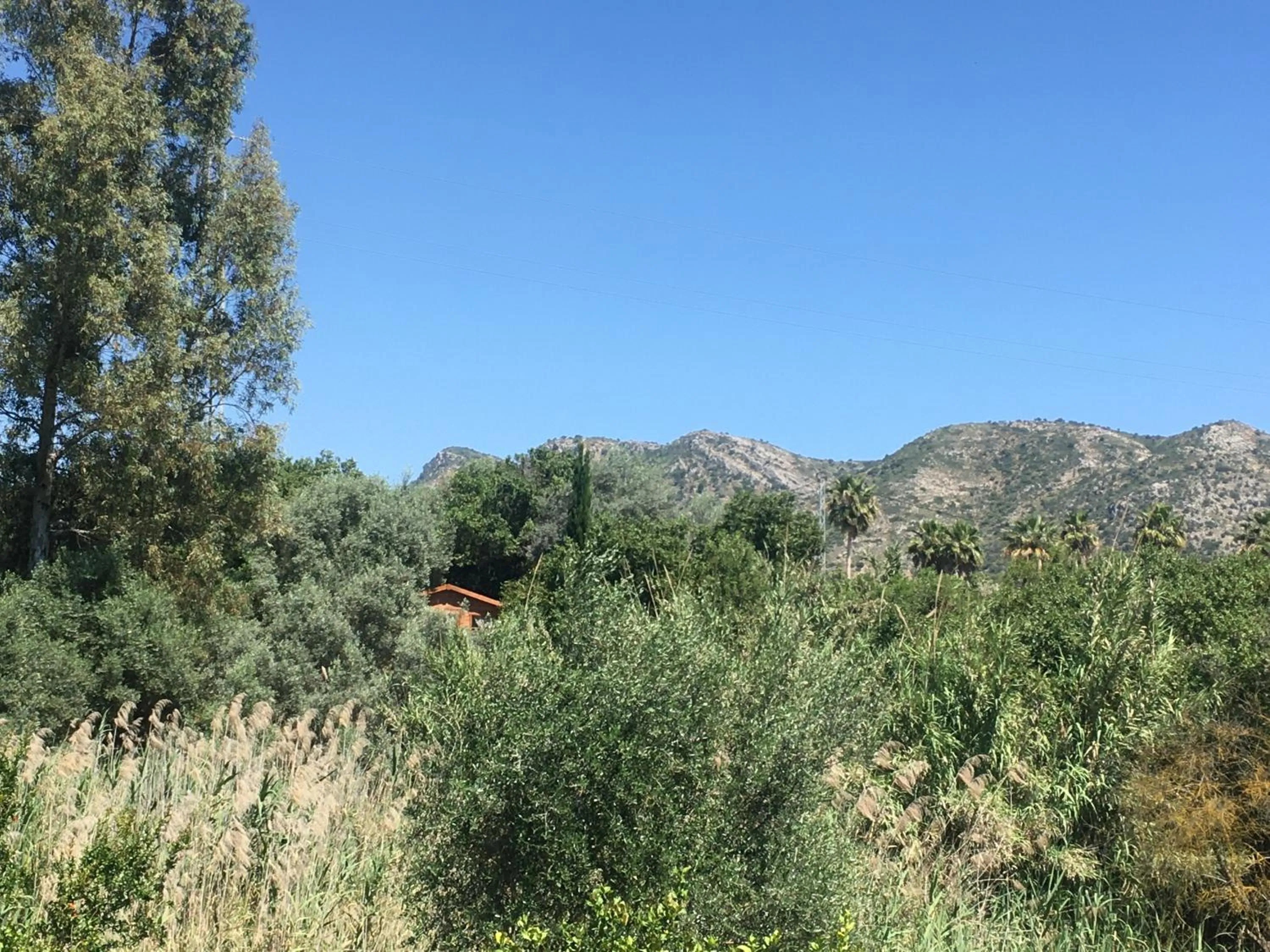 Natural landscape in Finca Fahala