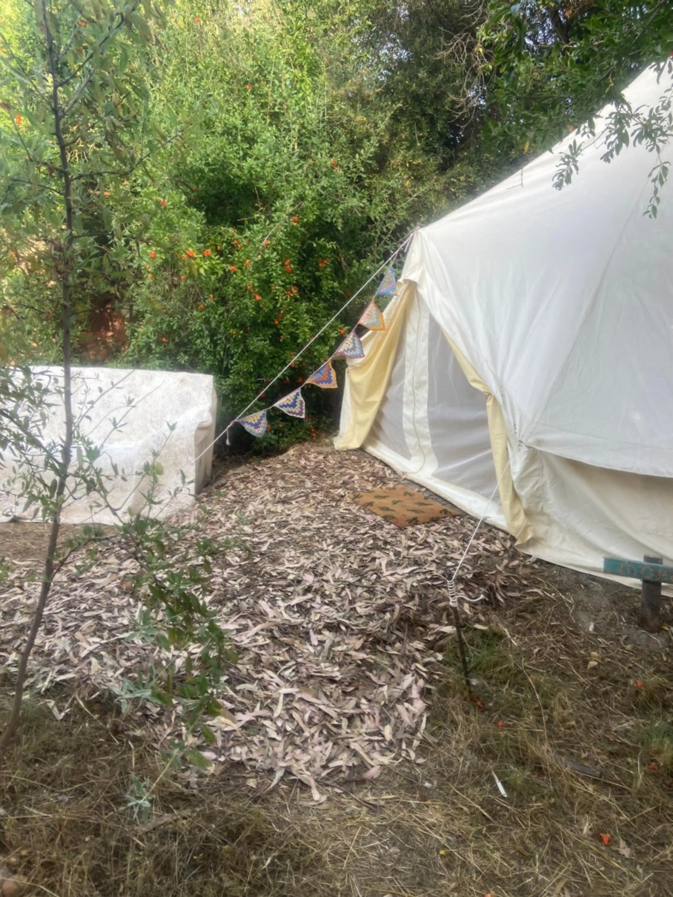 Garden in Finca Fahala