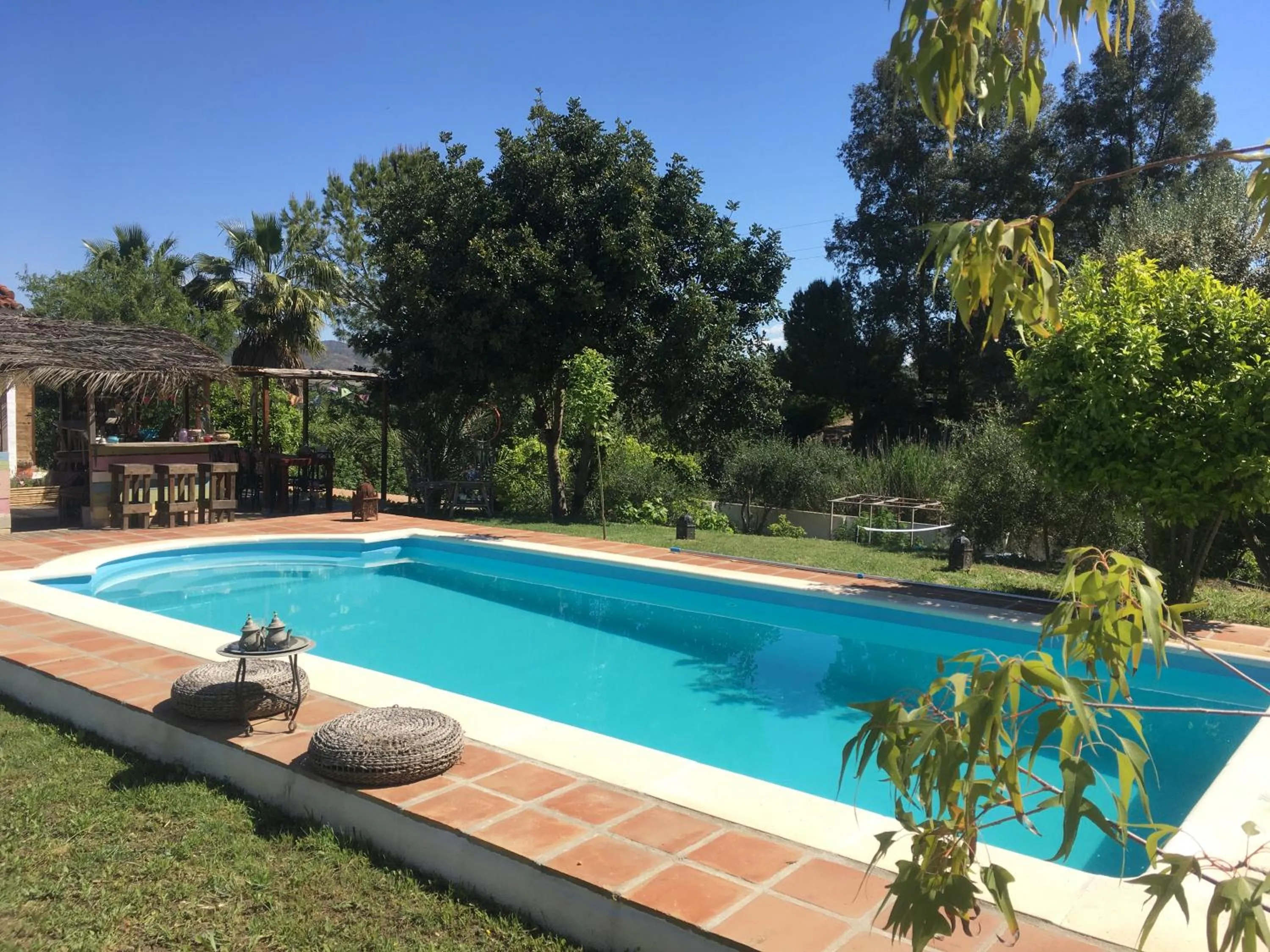 Pool view in Finca Fahala