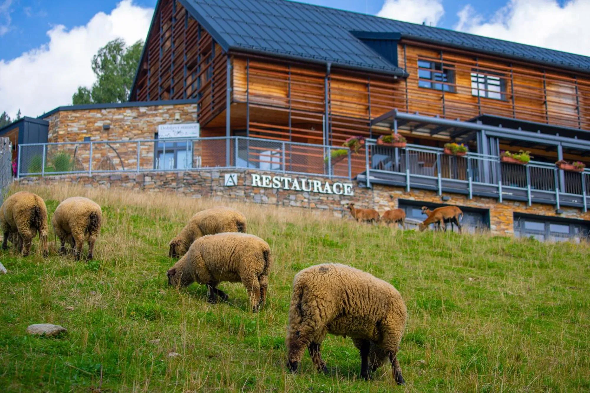 Property building in Amenity Hotel & Resort Špindlerův Mlýn