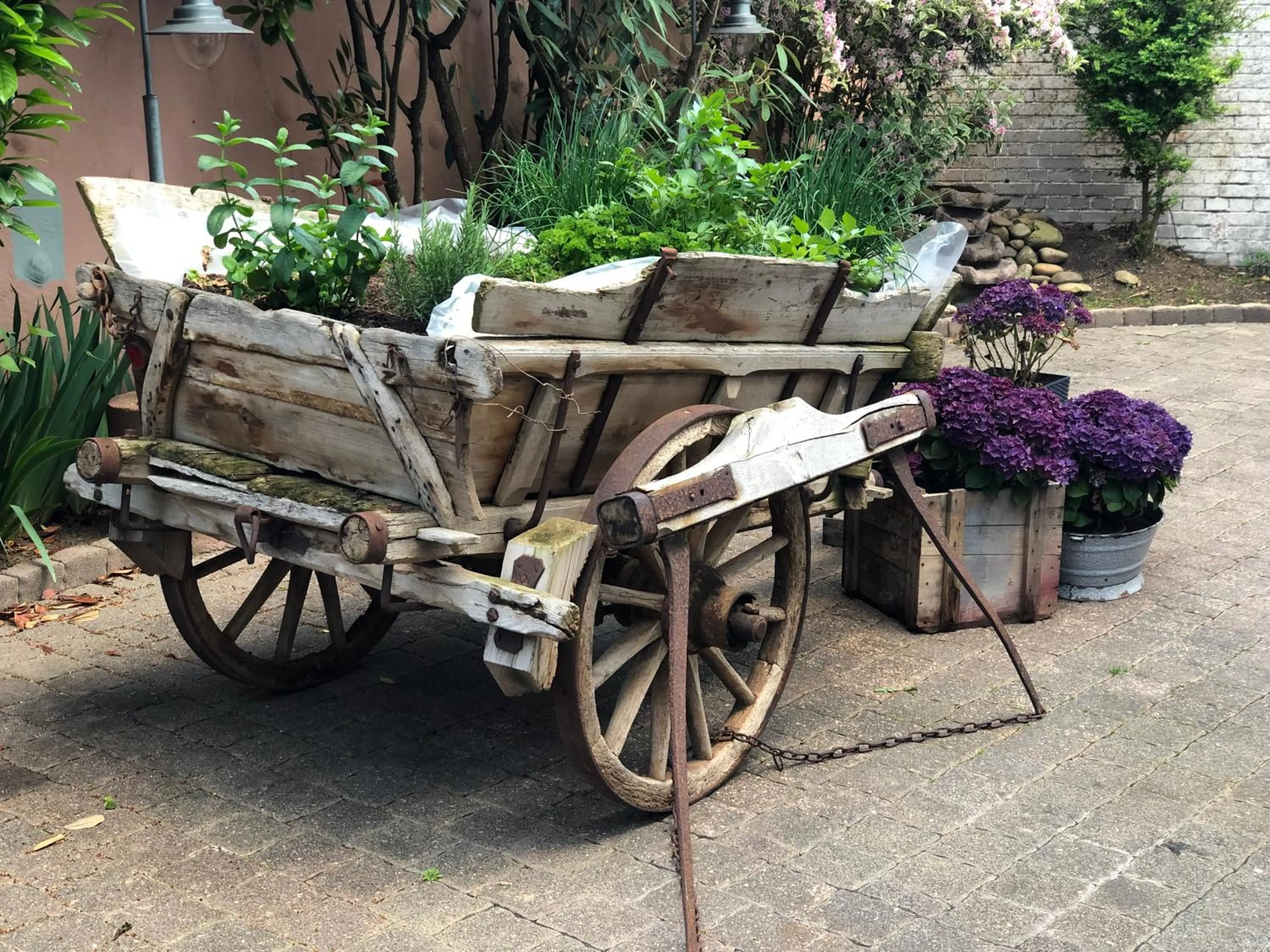 Breakfast in Hotel Restaurant Goldenes Ross