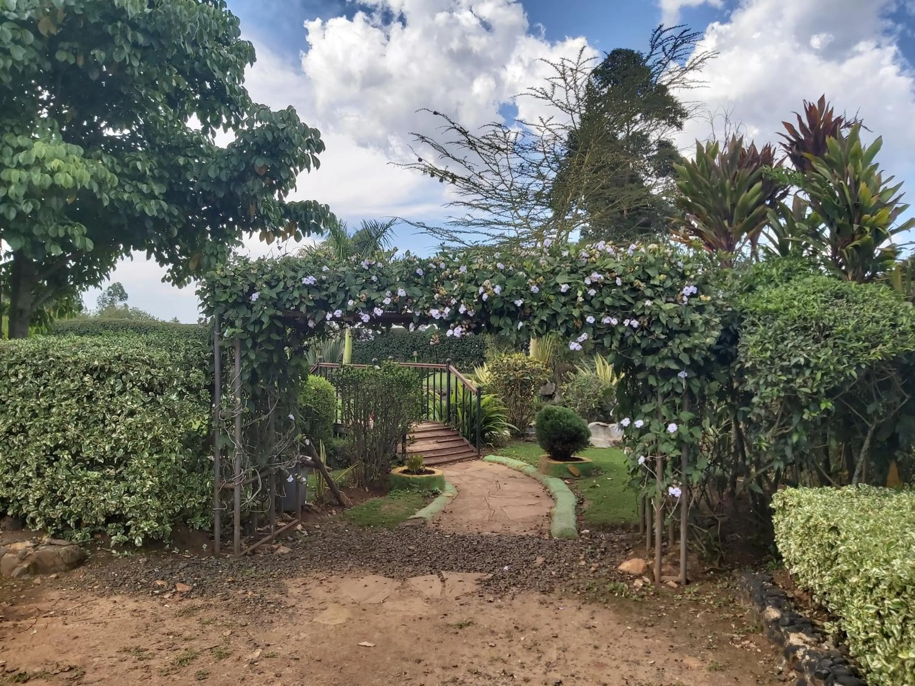 Garden in Sahara Gardens Bomet