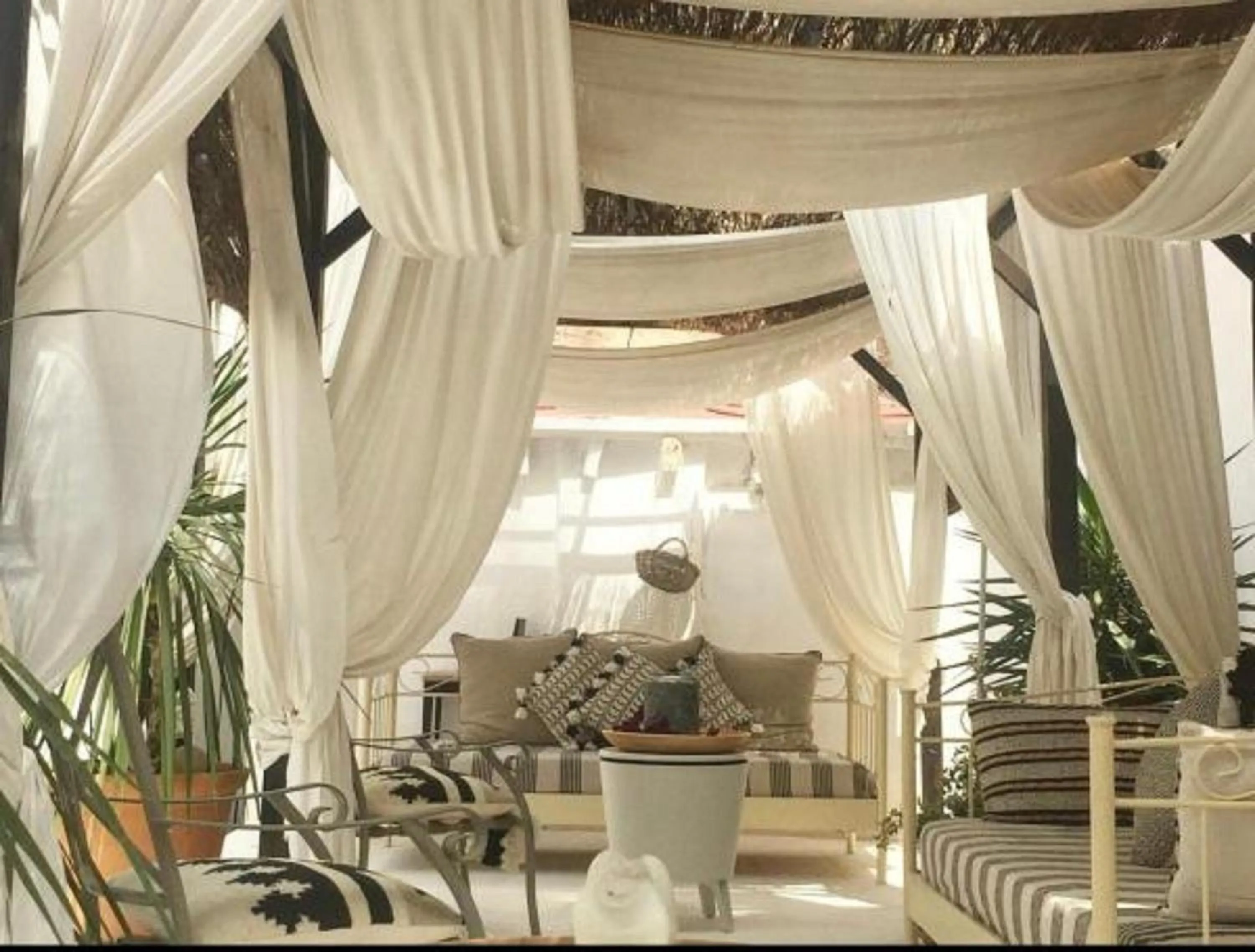 Garden in La dimora del Casanova B&B boutique