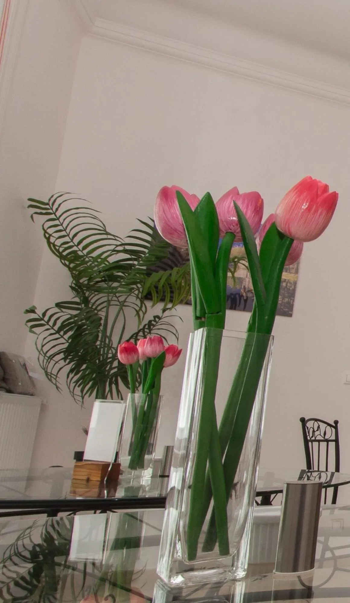 Butterfly Home Danube