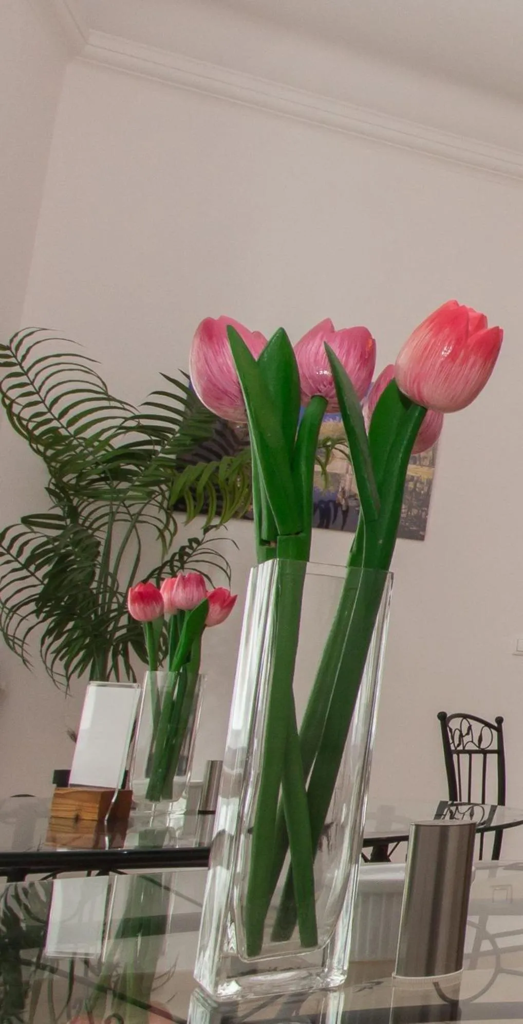 Butterfly Home Danube