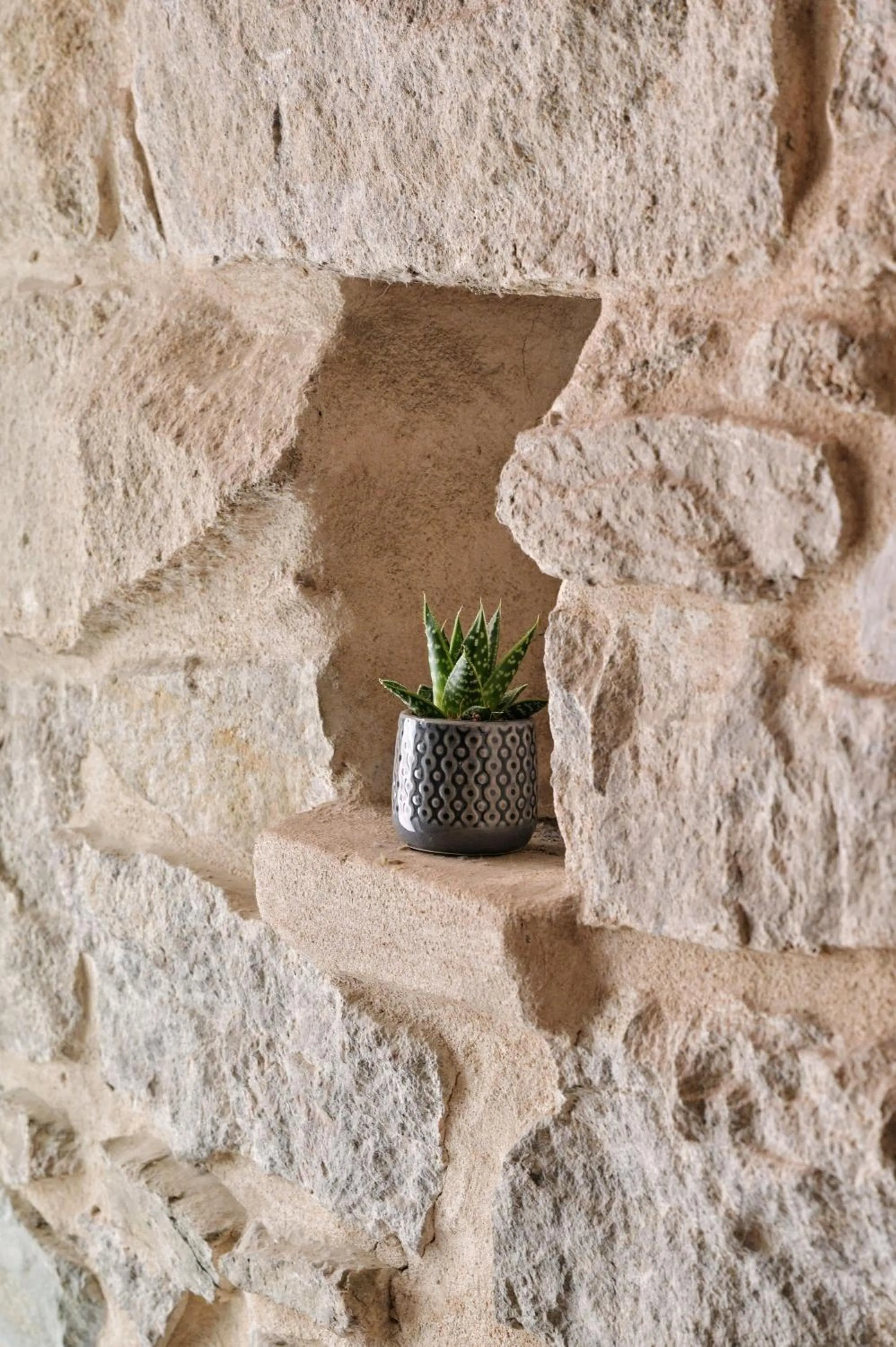 Property building in Kallisté