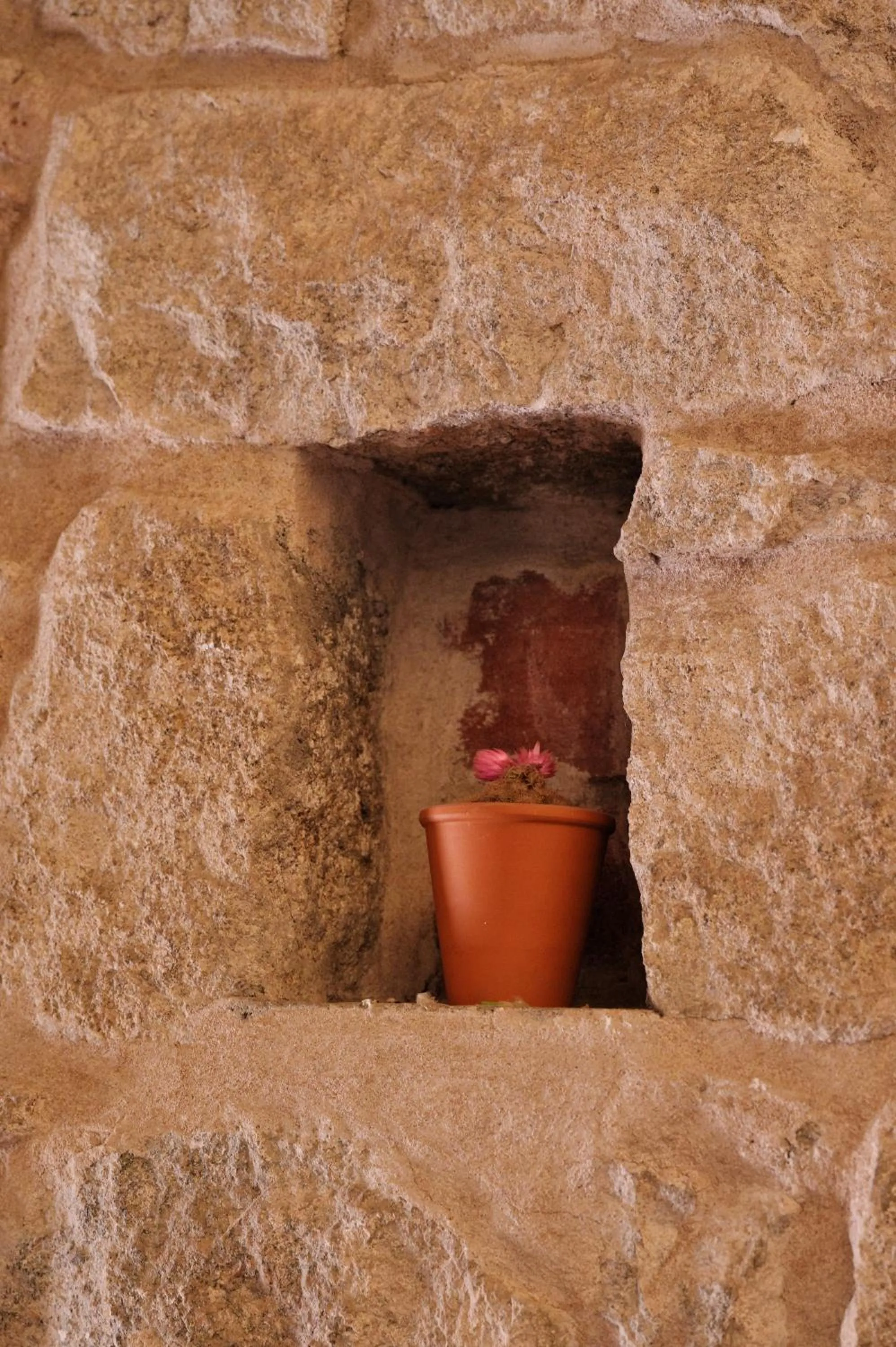 Property building in Kallisté