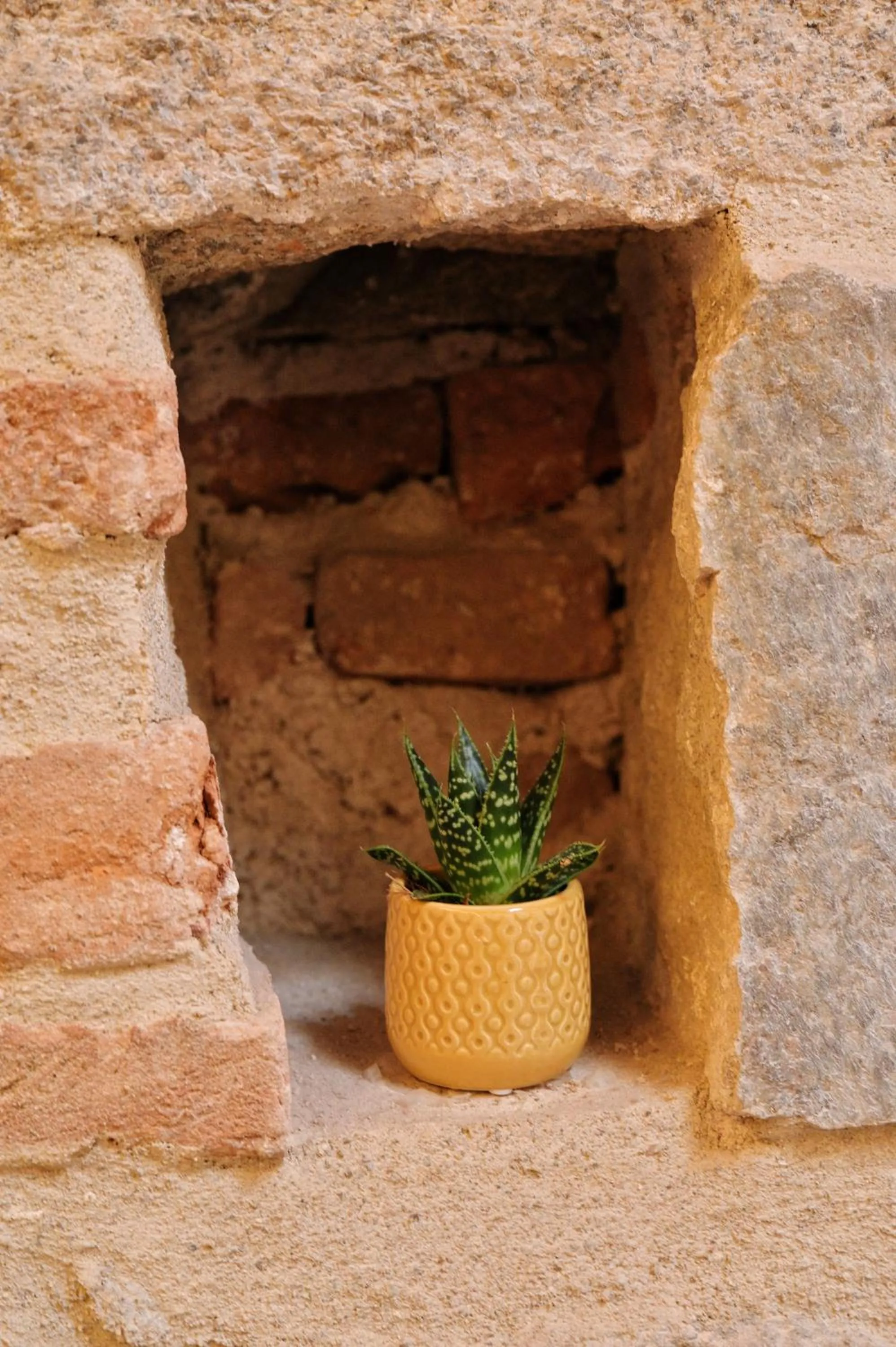 Property building in Kallisté