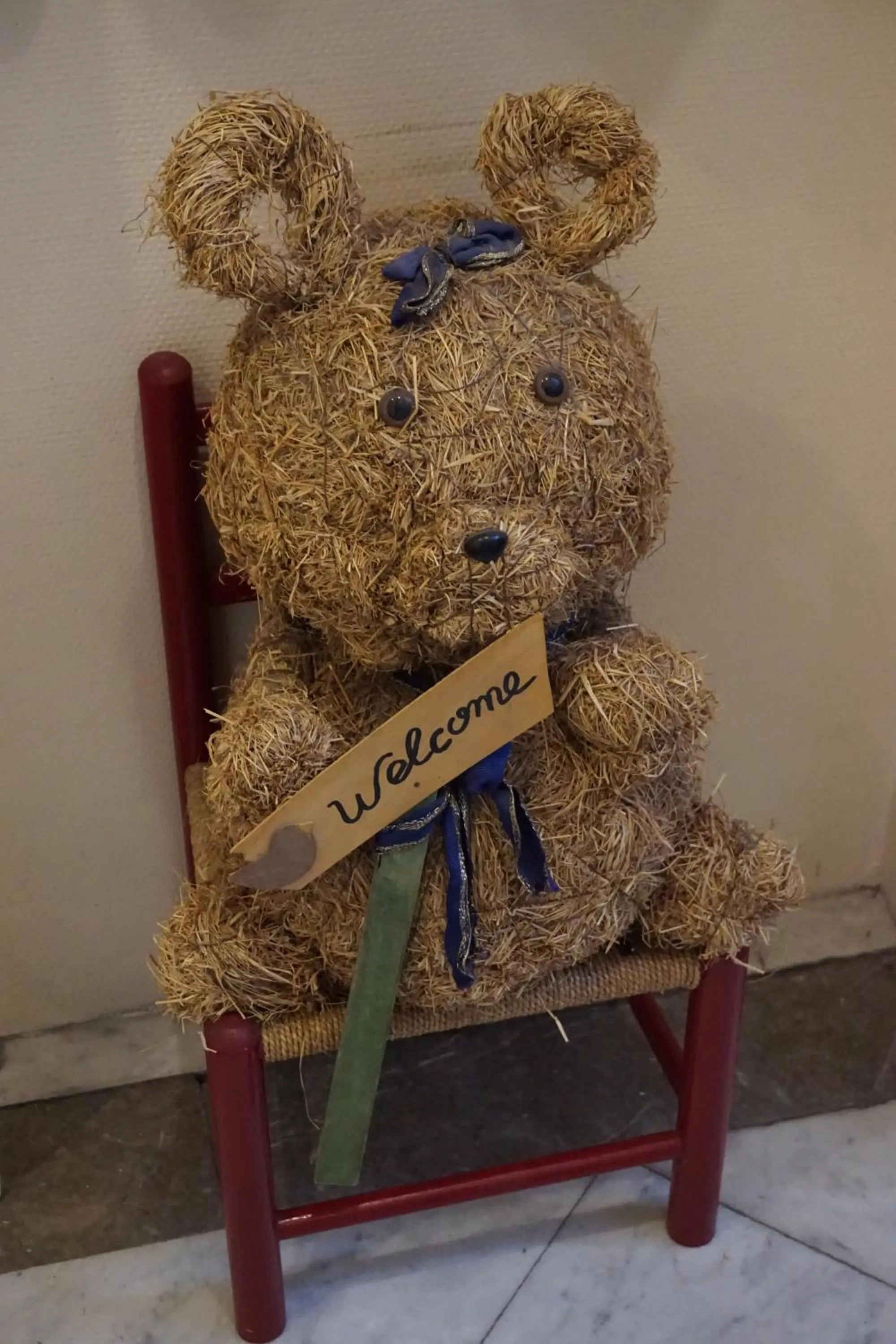 Area and facilities in Hotel Asiris