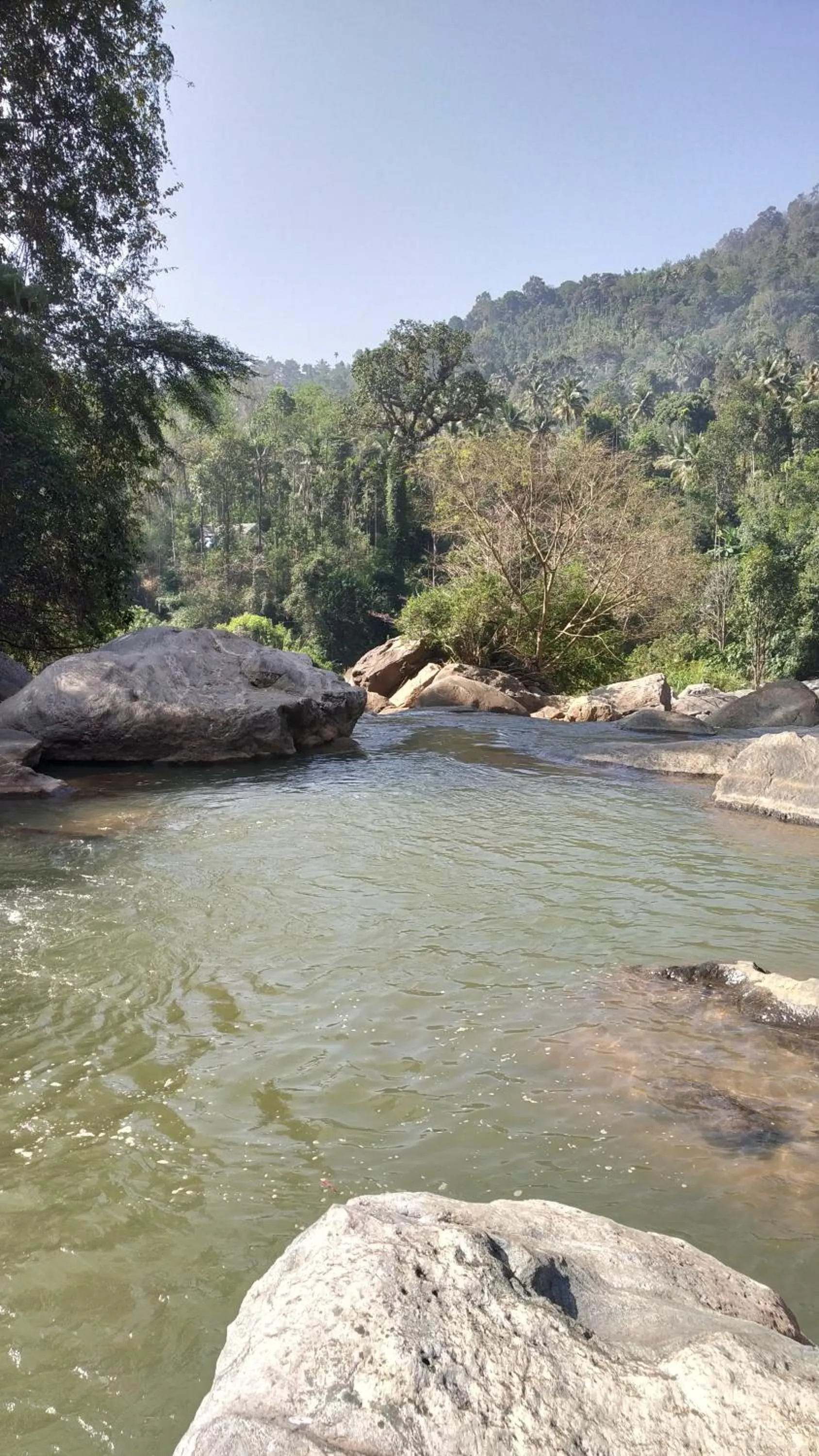 Thoppil Homestay Munnar