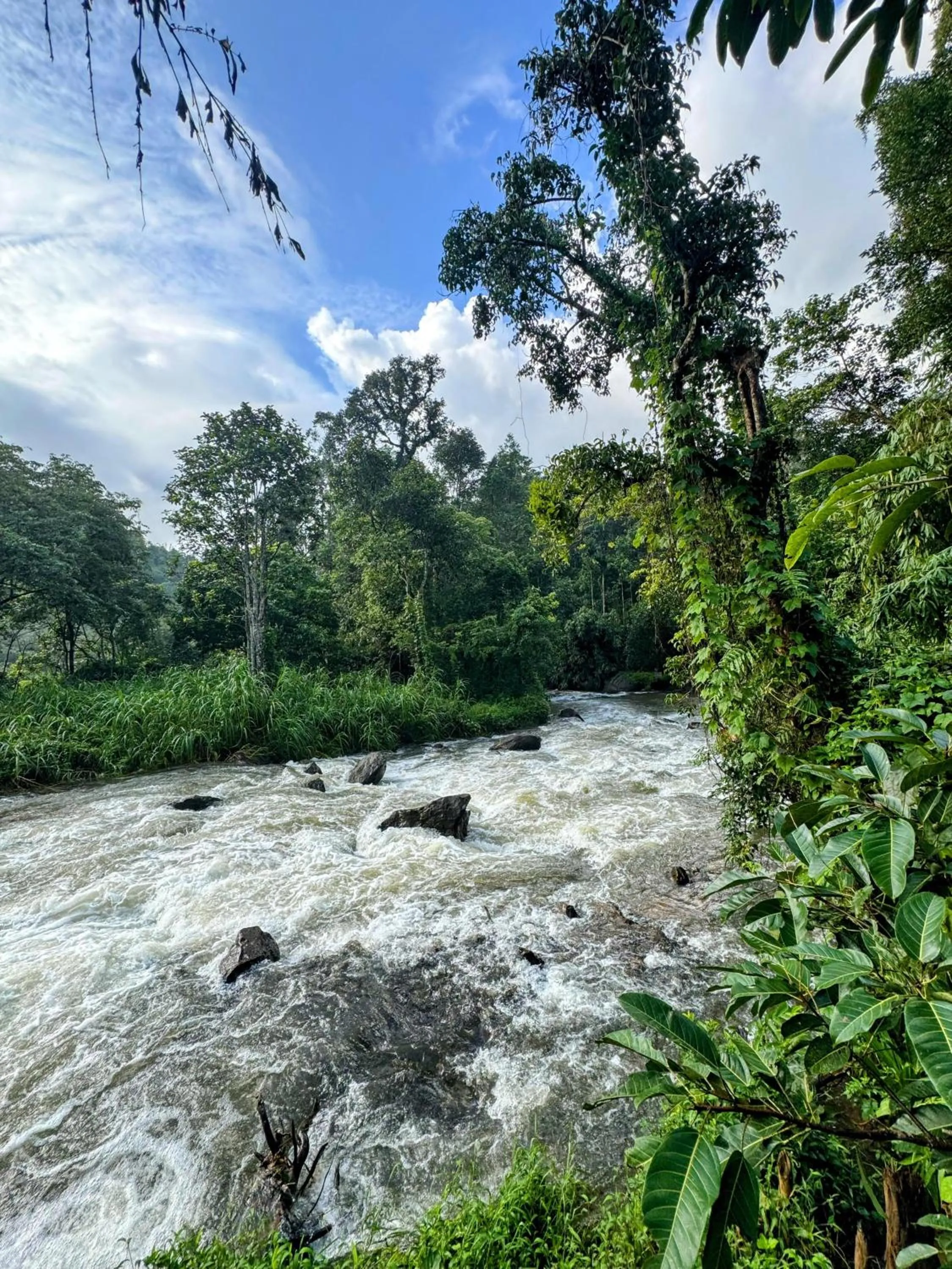 Thoppil Homestay Munnar