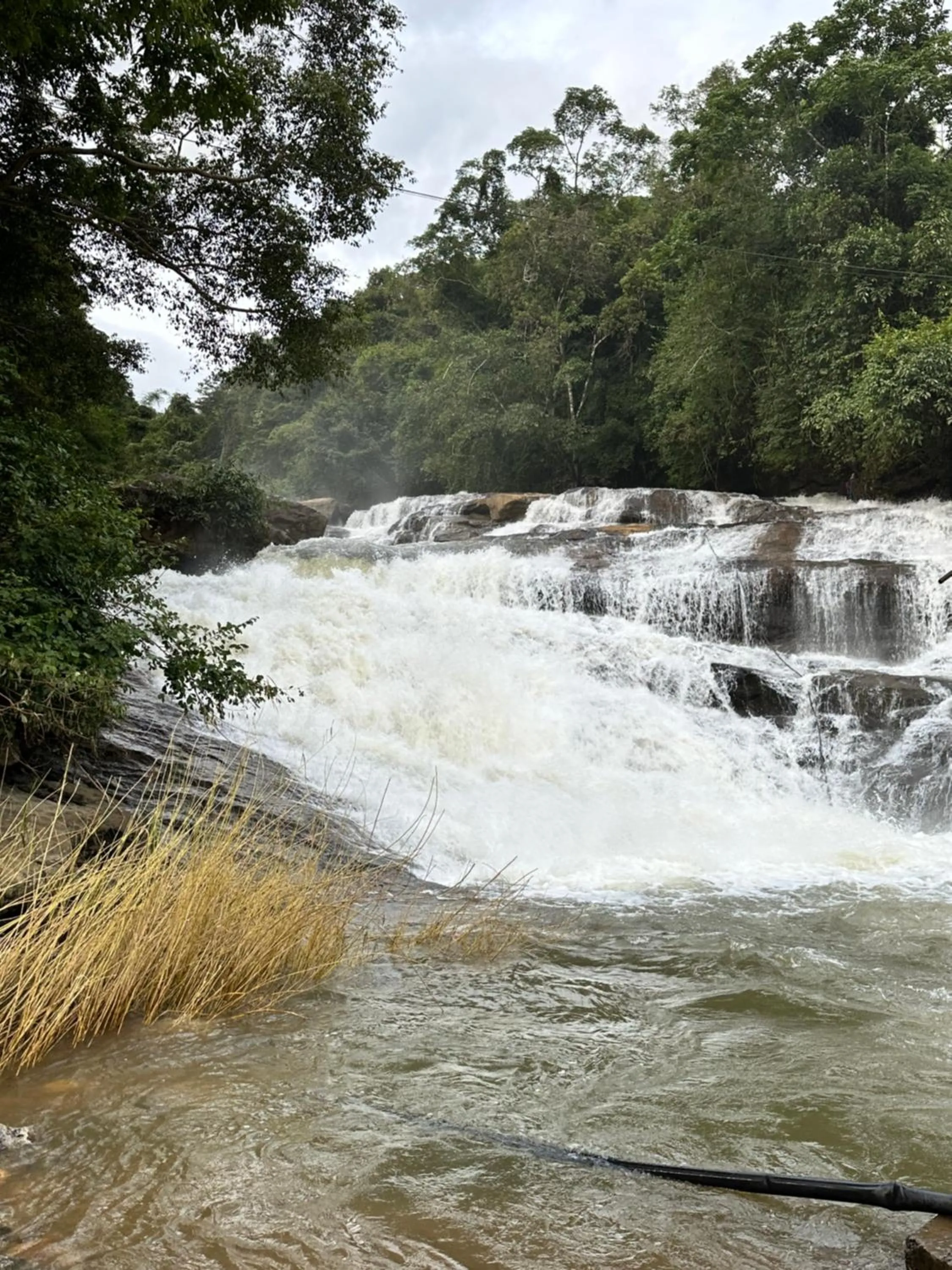 Thoppil Homestay Munnar
