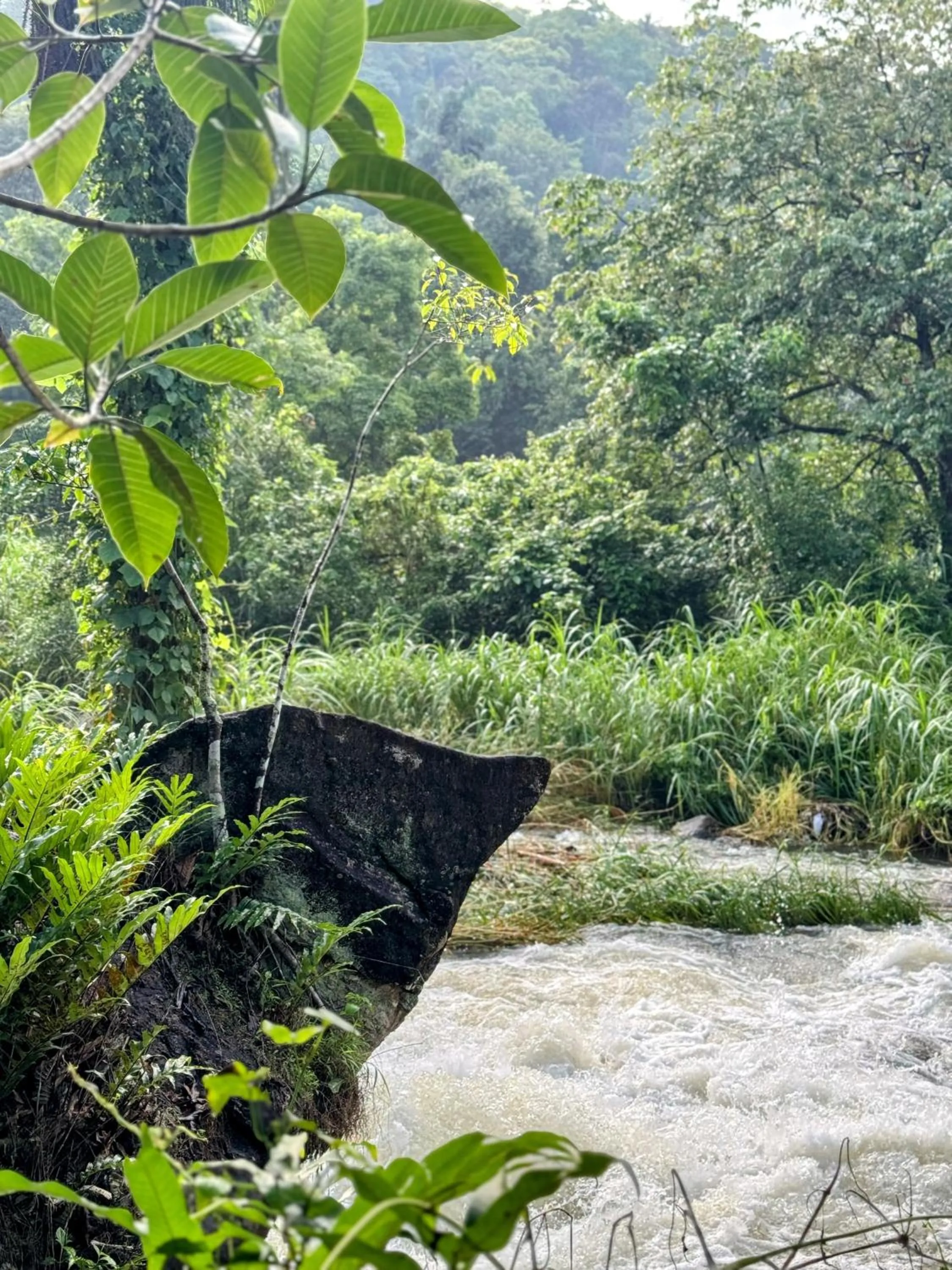 Thoppil Homestay Munnar