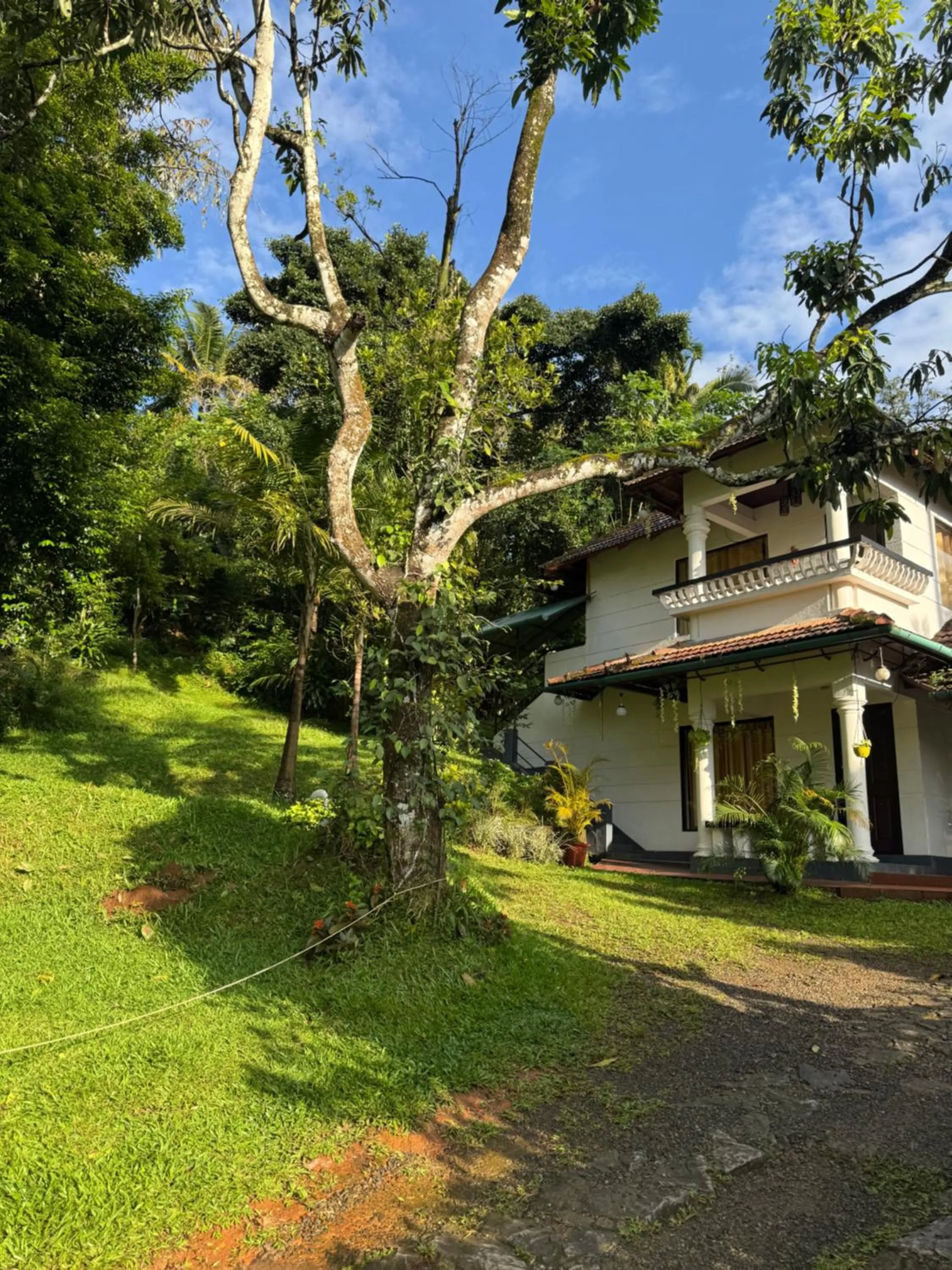 Thoppil Homestay Munnar
