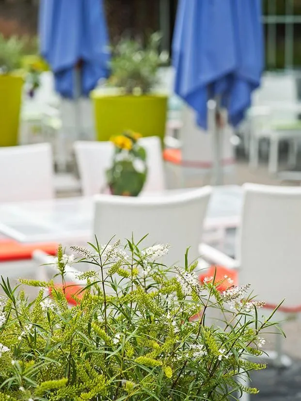 Country House Duinhof