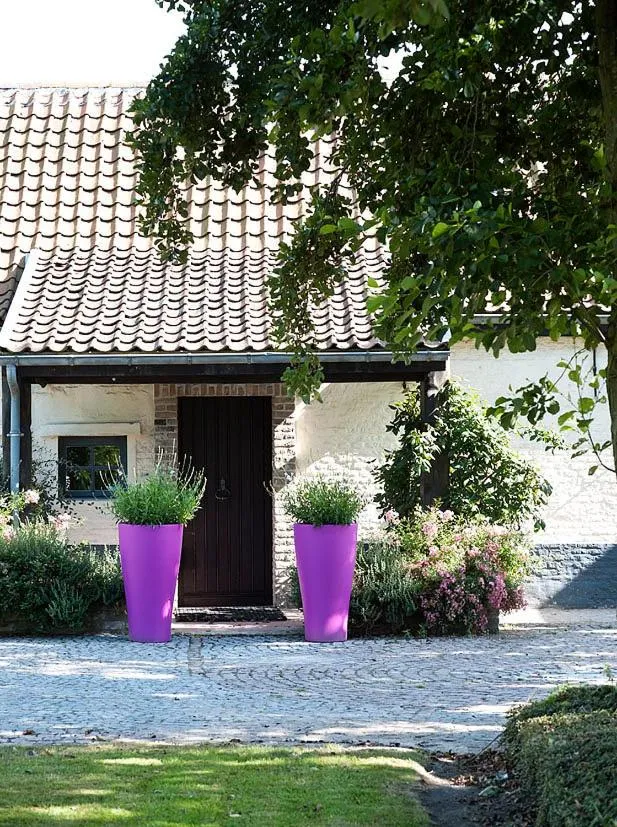 Property building in Country House Duinhof