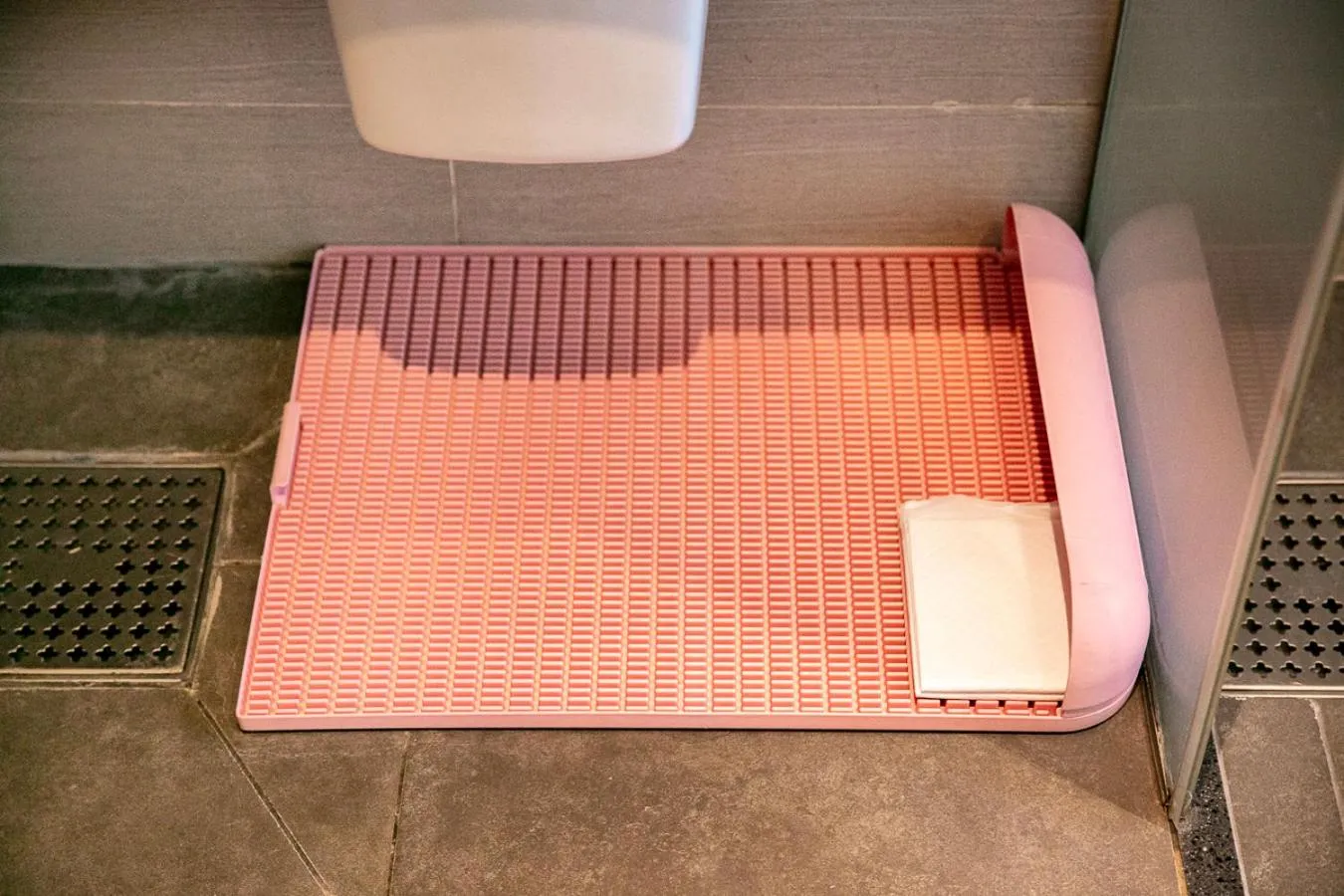 pet friendly in The Best Jeju Seongsan