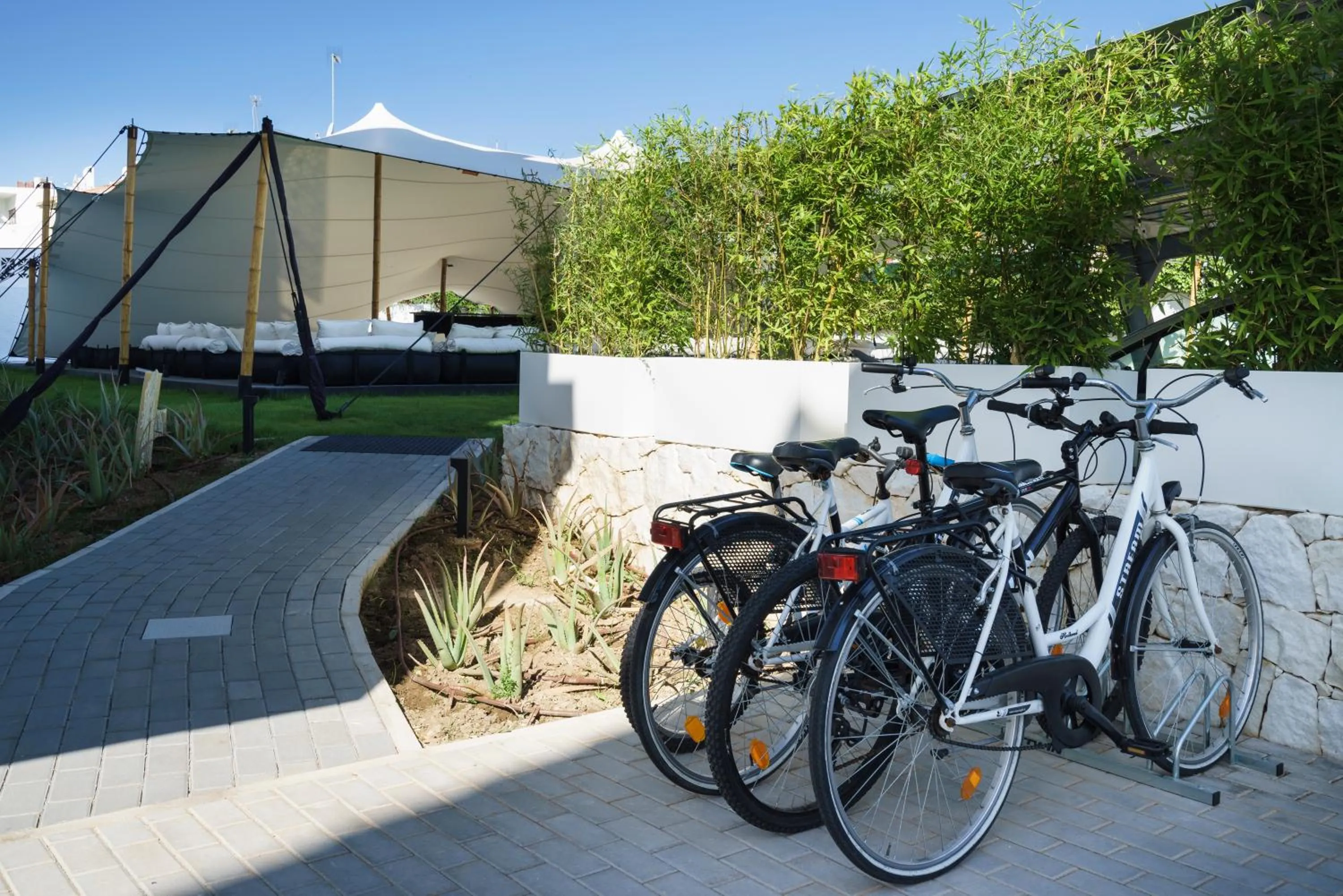 Cycling in Costa del Sol Torremolinos Hotel