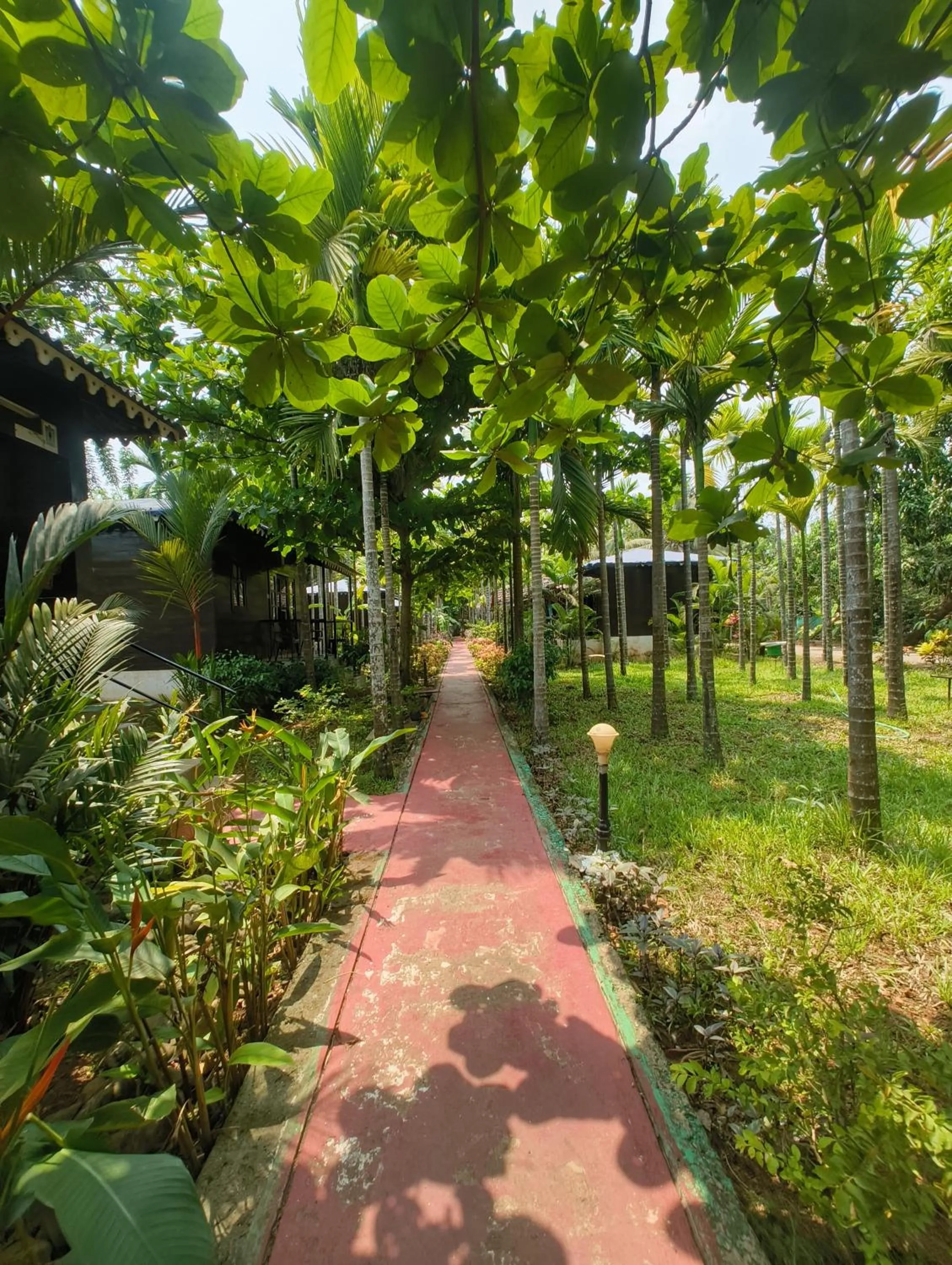 Go Green Spice & Eco Resort