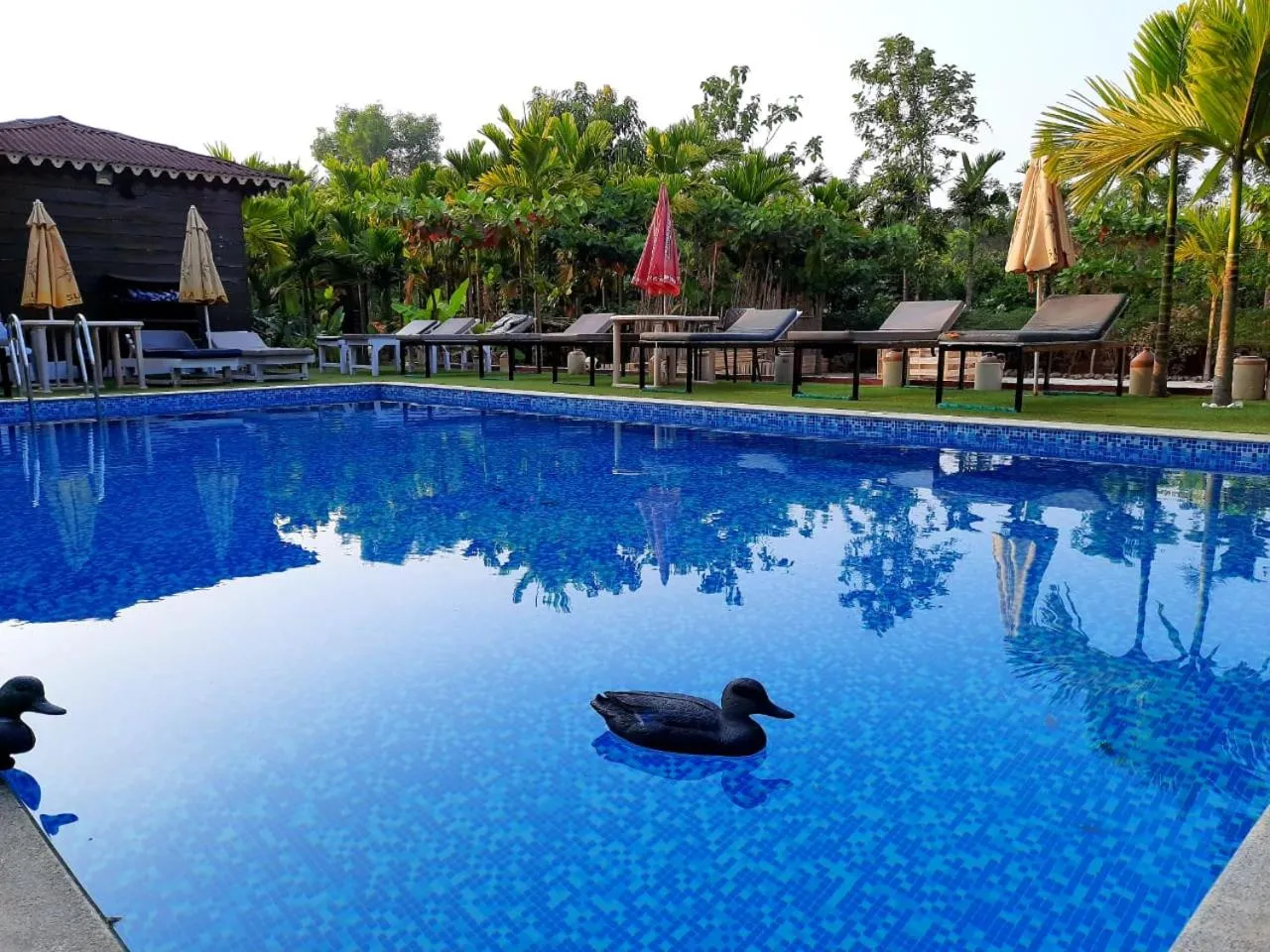 Go Green Spice & Eco Resort