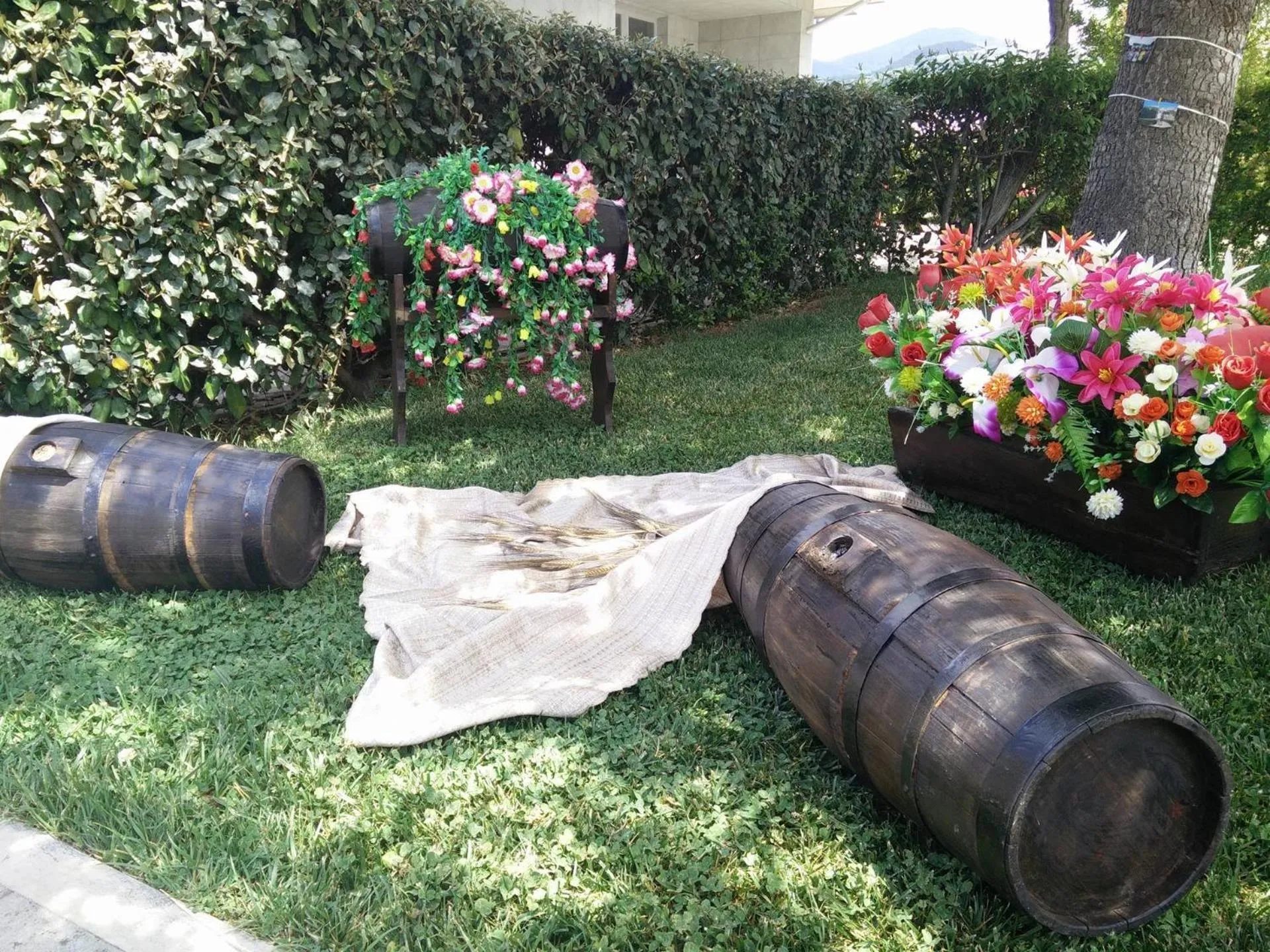 Garden in Hotel Likos