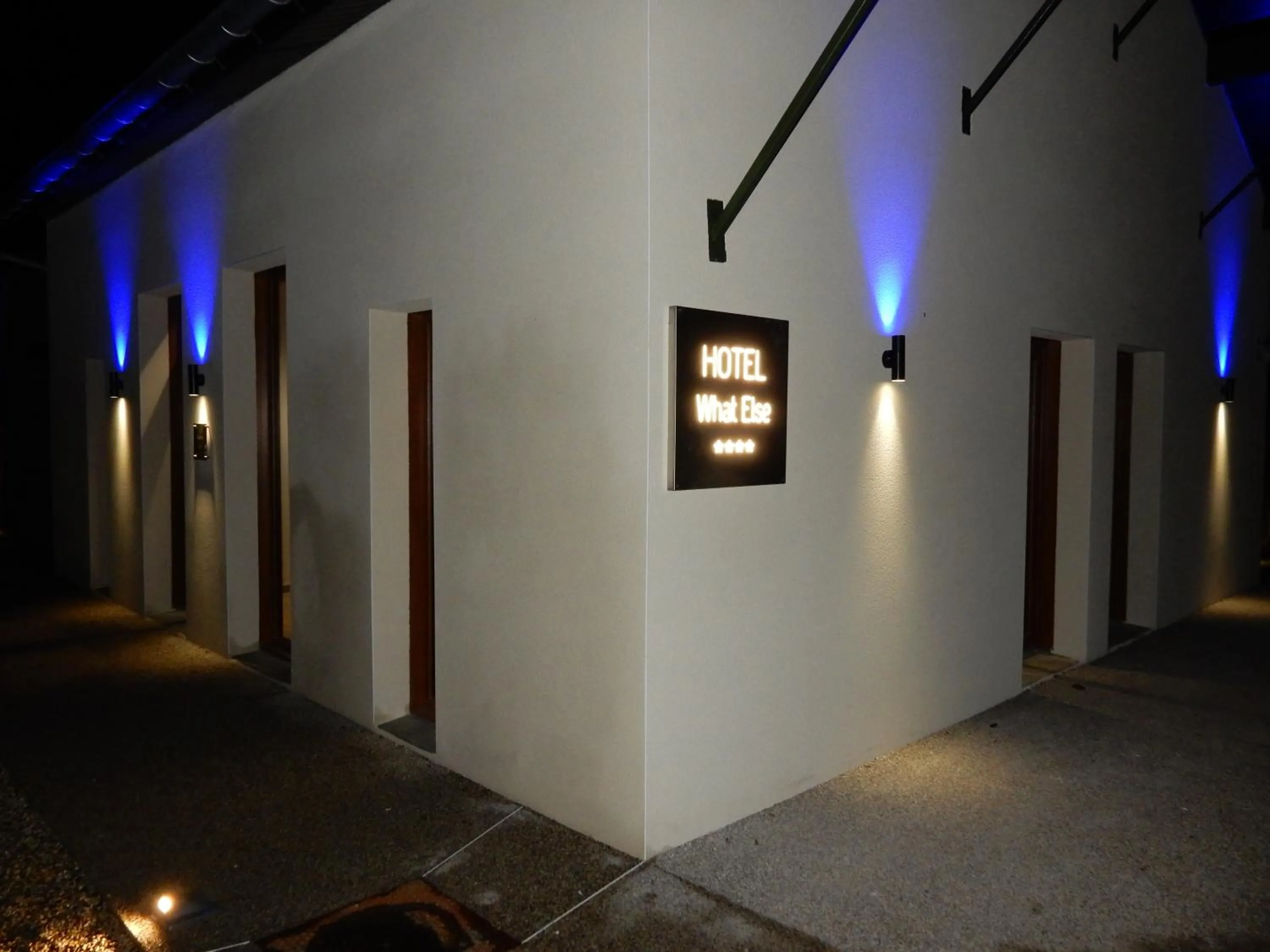 Night in What Else Hotel