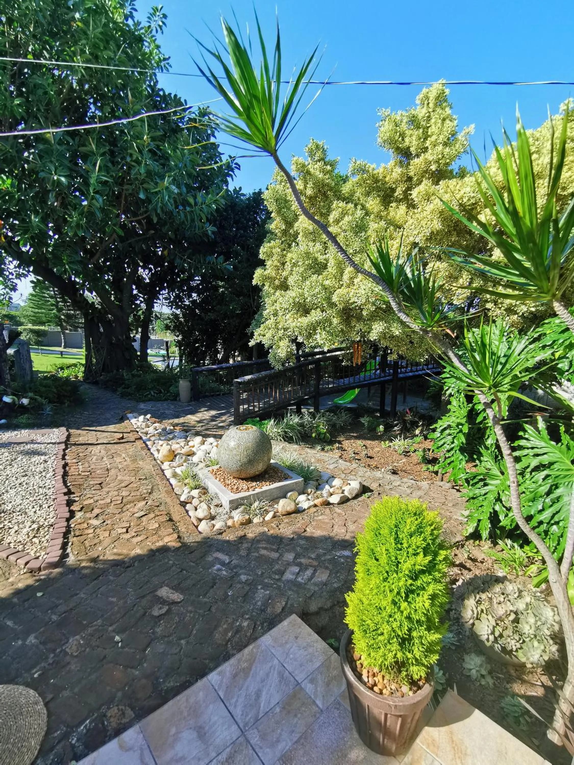 Garden in The Birdhouse Bed & Breakfast #NO Loadshedding #Solar Energy