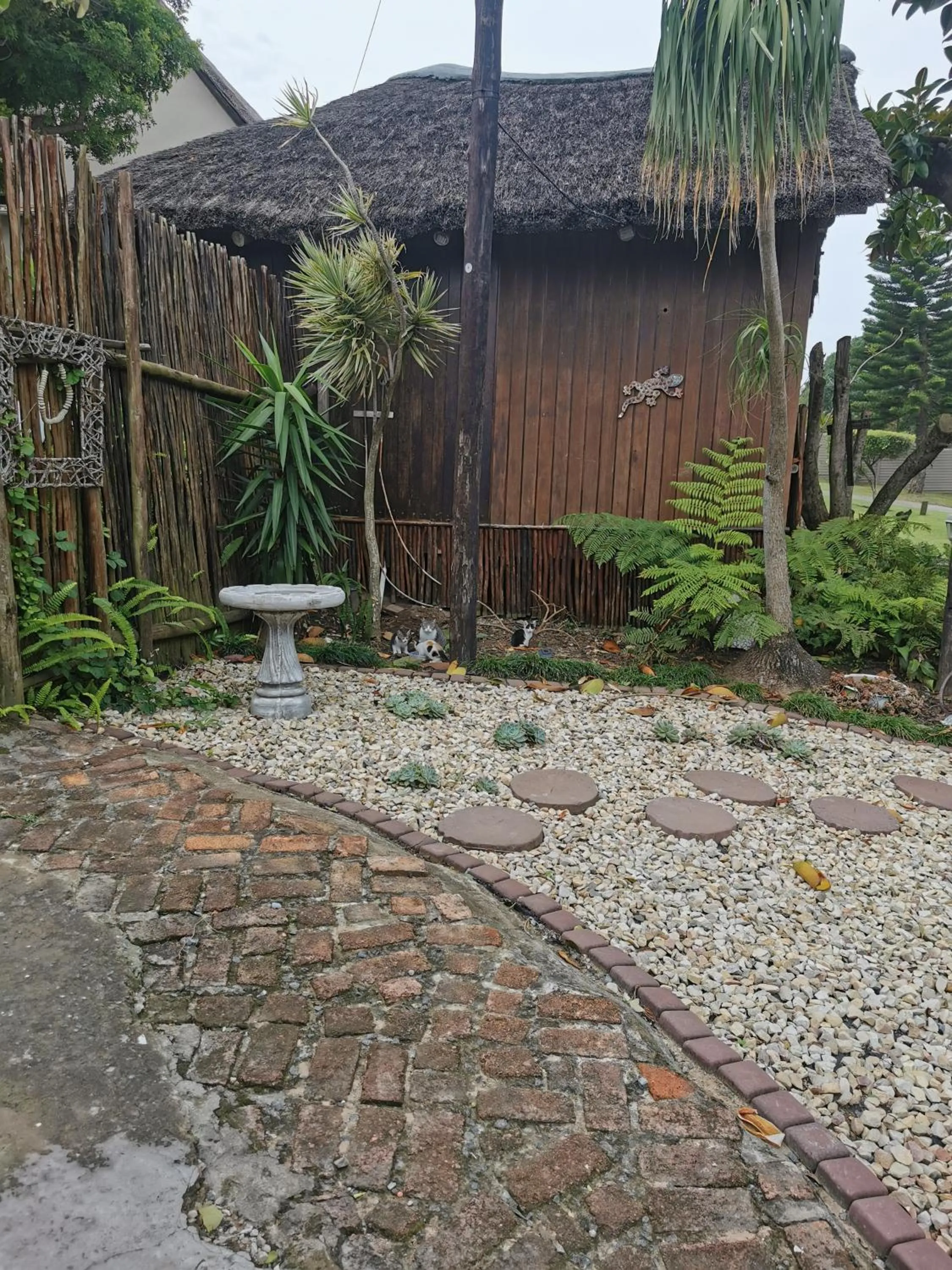 Garden in The Birdhouse Bed & Breakfast #NO Loadshedding #Solar Energy