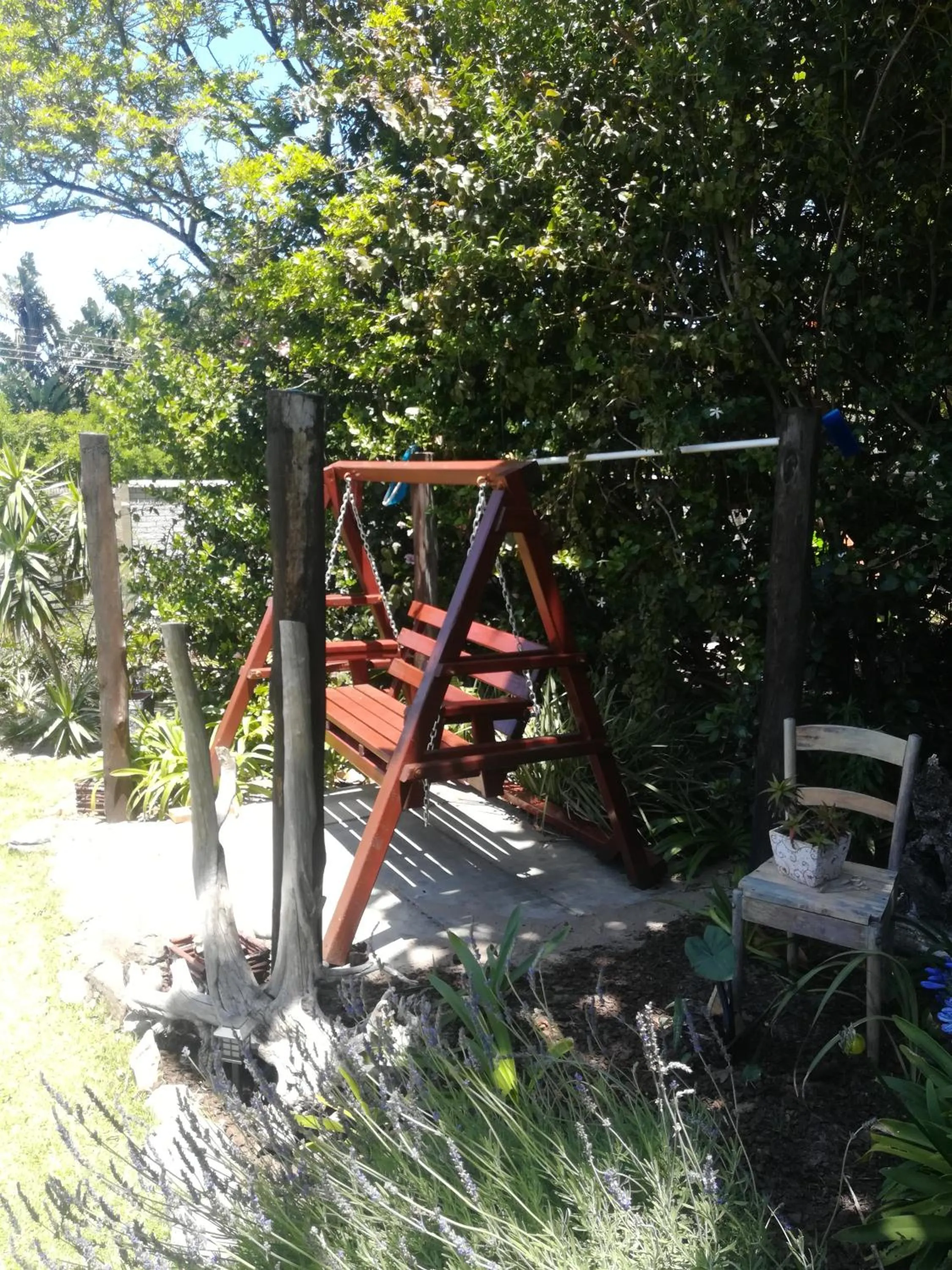 Garden in The Birdhouse Bed & Breakfast #NO Loadshedding #Solar Energy