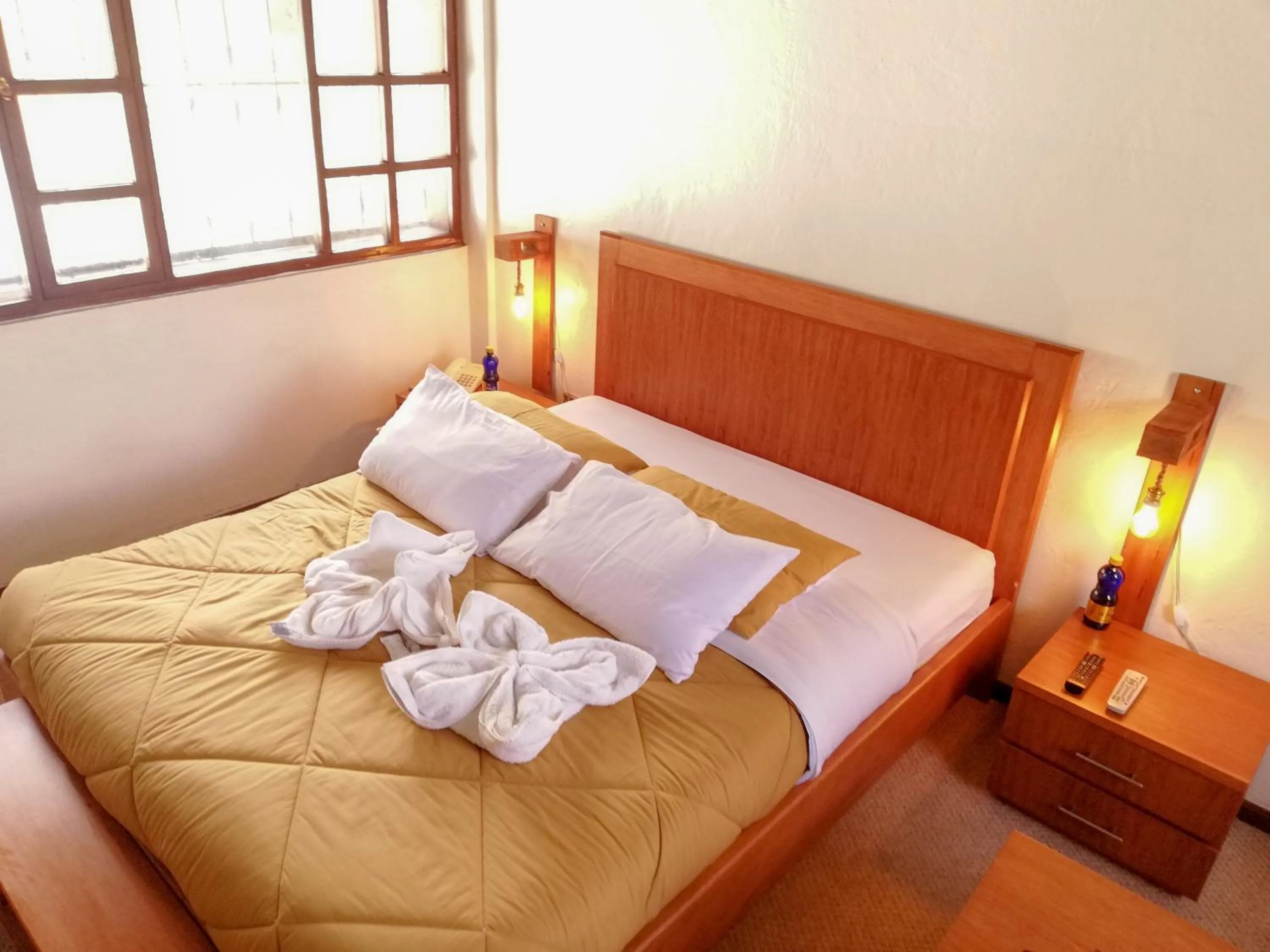 Standard Double Room in Hotel La Primavera