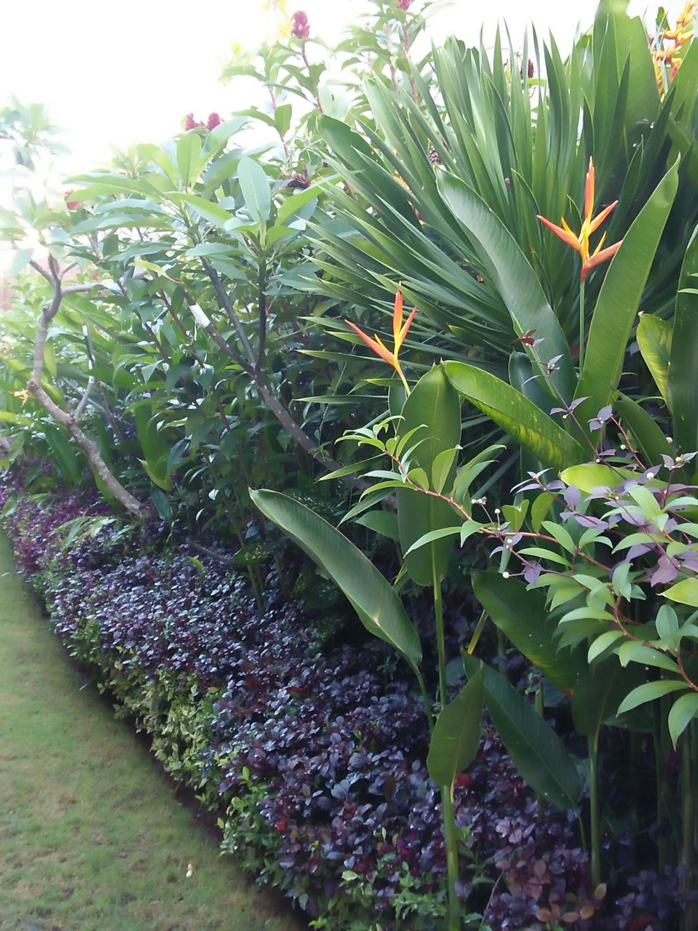 Garden in The Wina Guest House 2