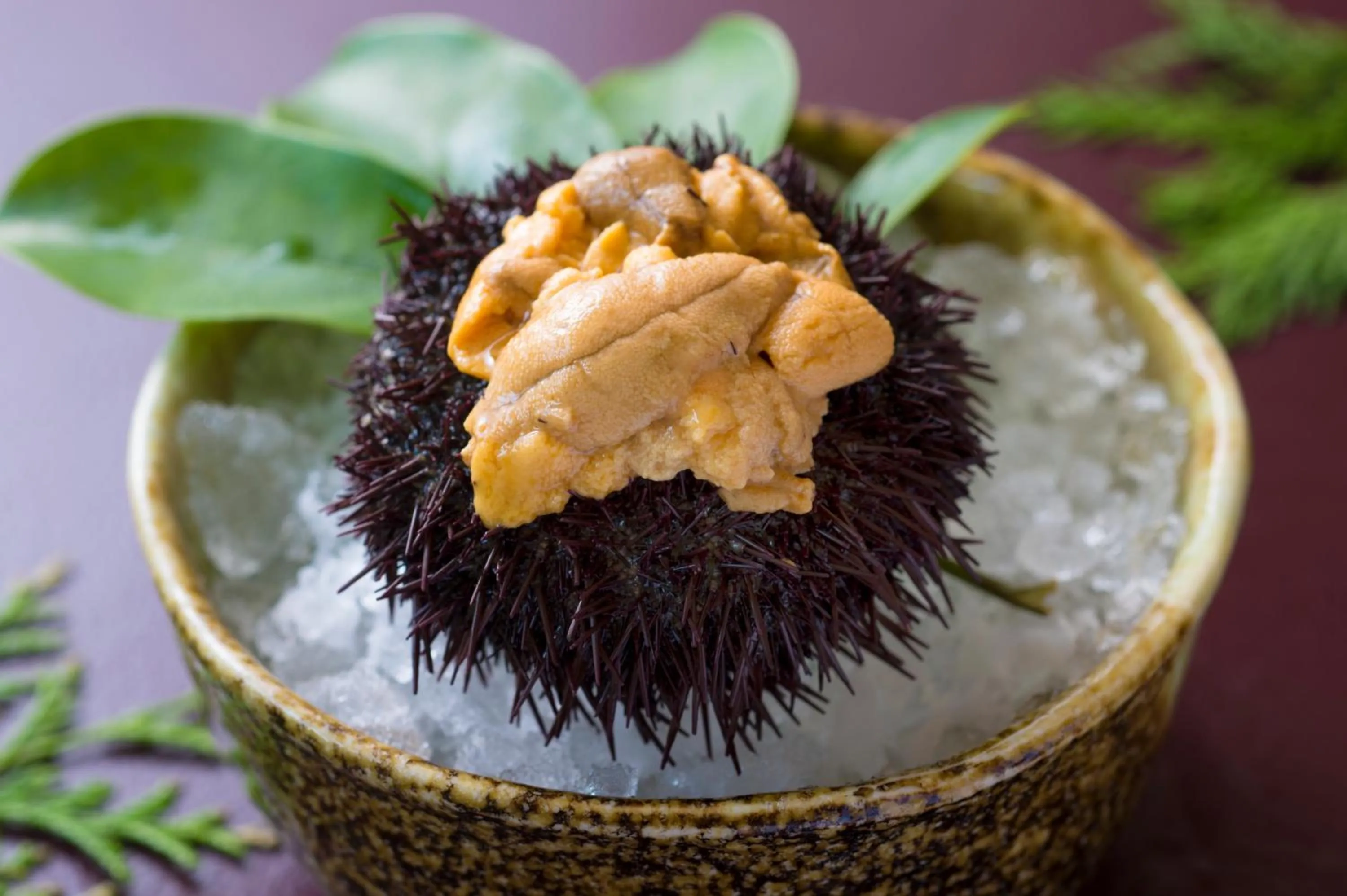 Food close-up in Hotel Tokinoza