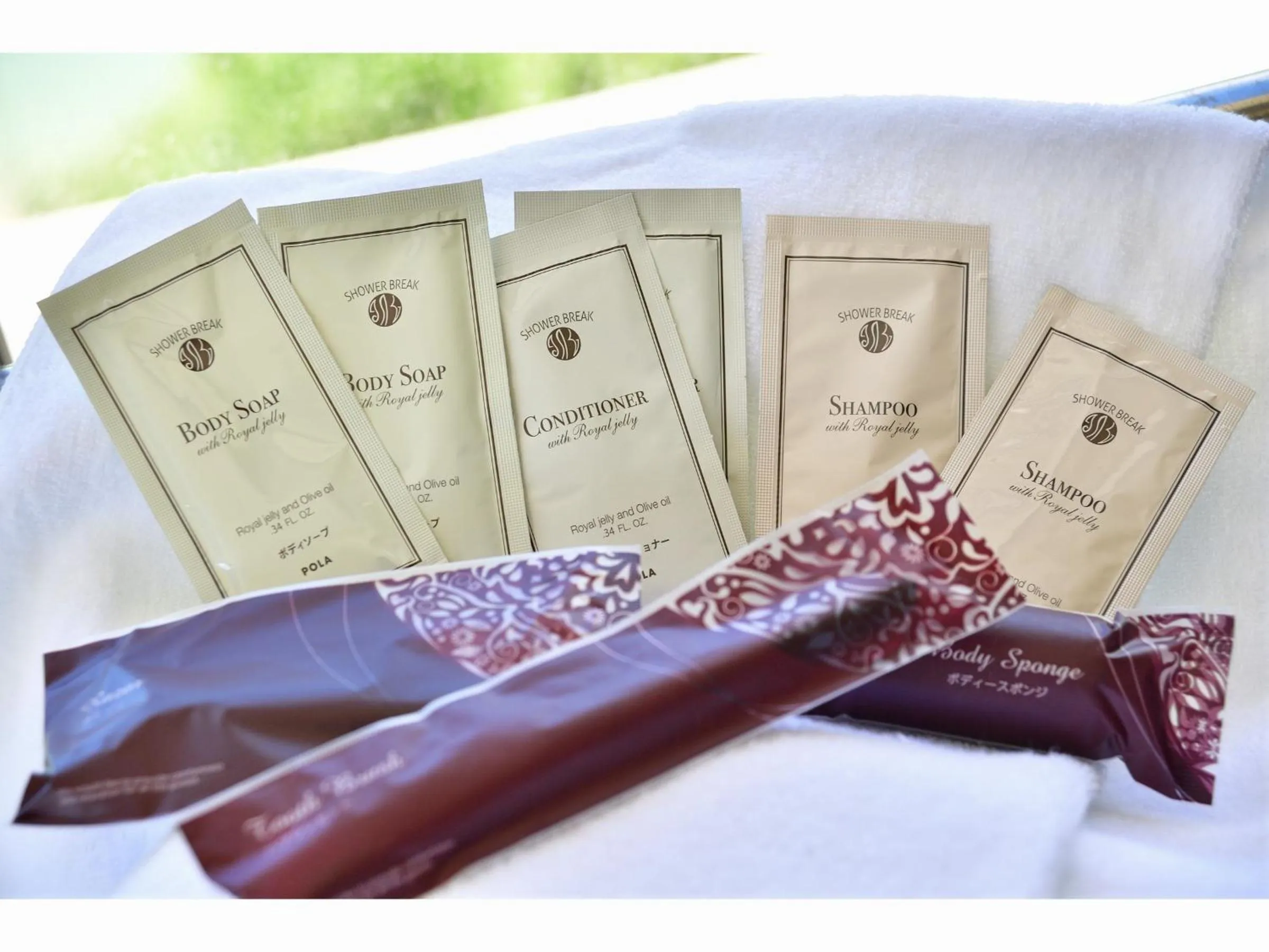 Shower in Hotel South Island