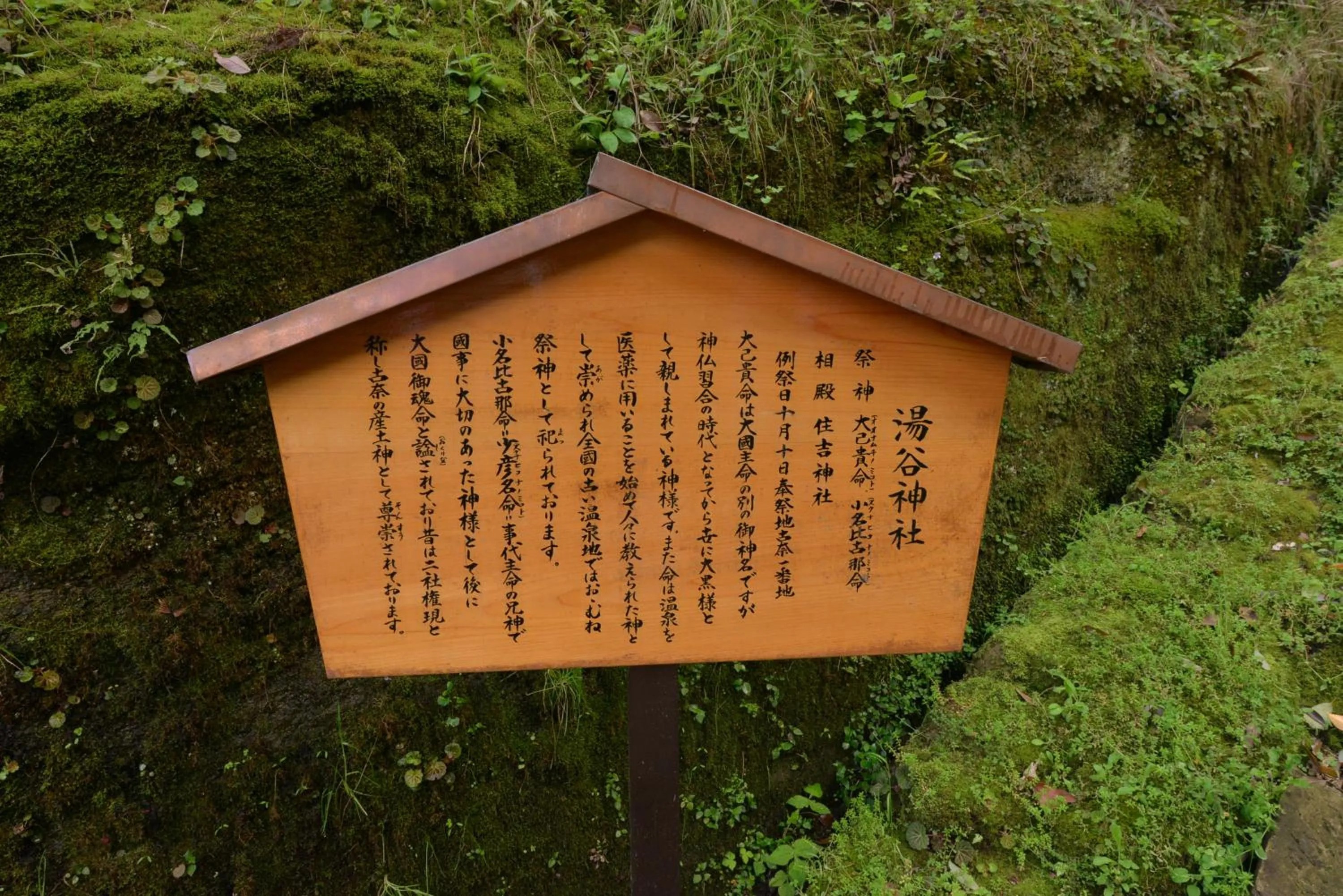 Logo/Certificate/Sign in Honjin