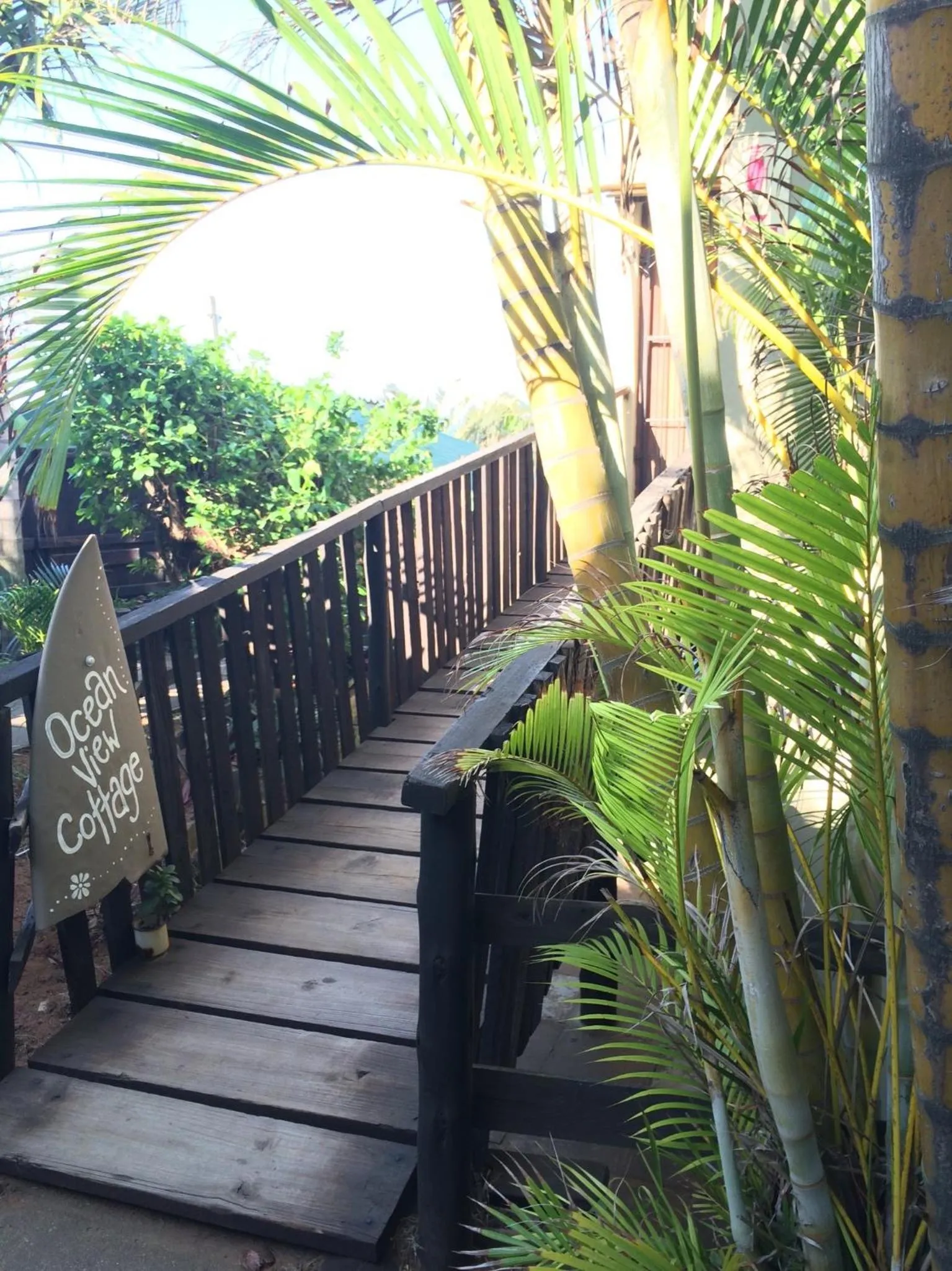 Ansteys Beach Self Catering Apartments