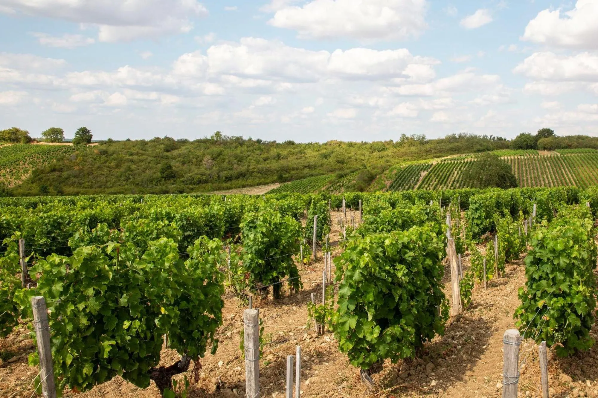 Nearby landmark in Camping de l'île