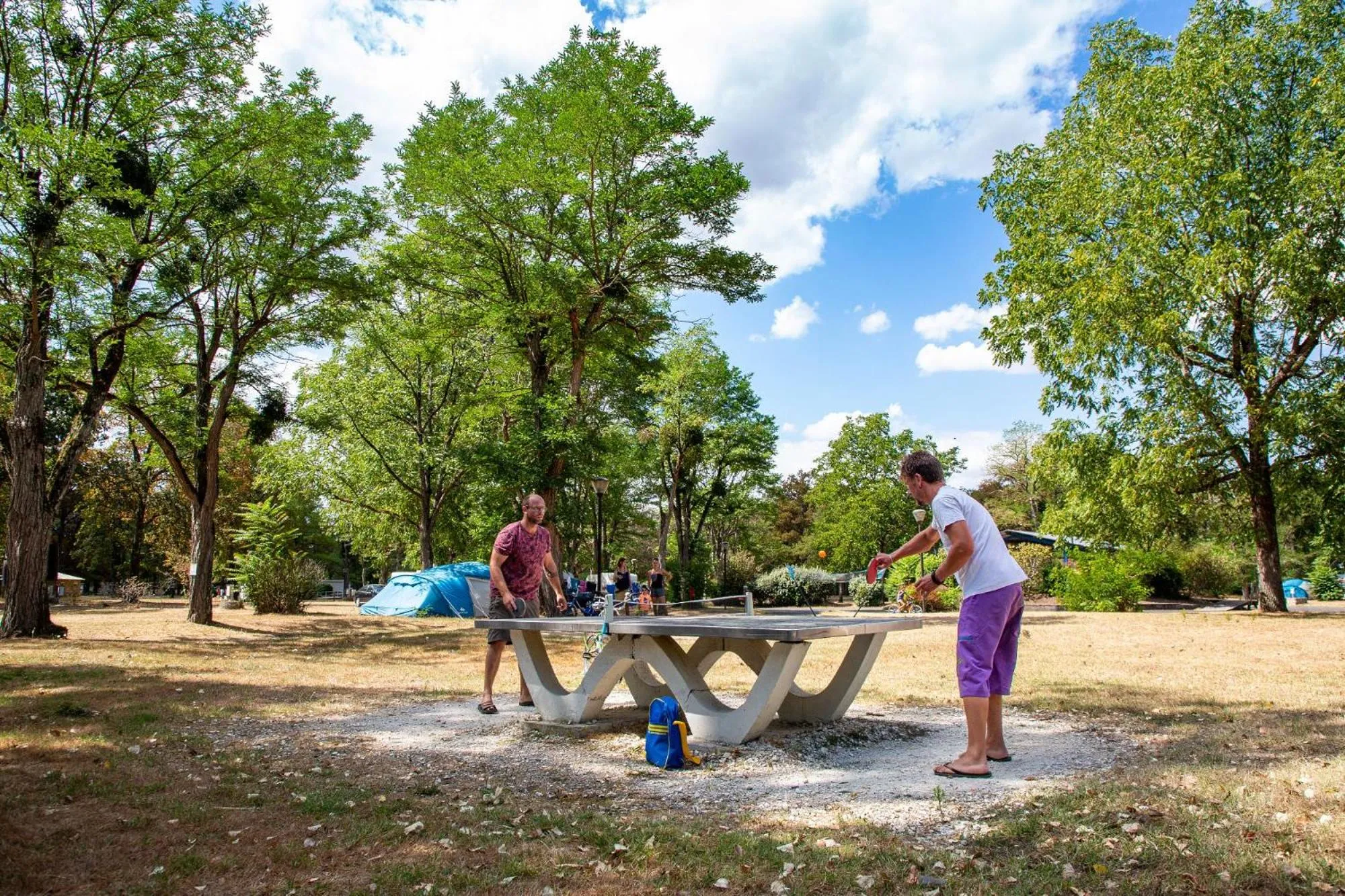 Activities in Camping de l'île