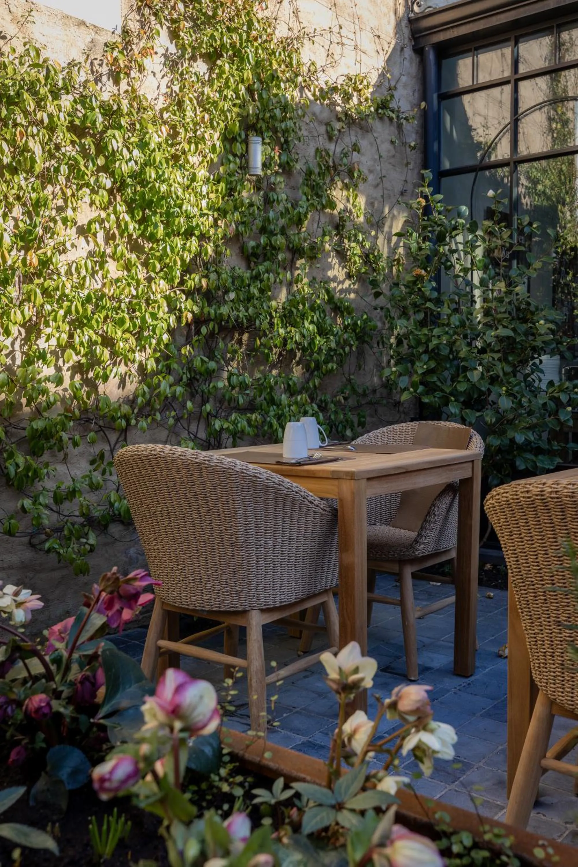 Garden in Hotel Ter Duinen