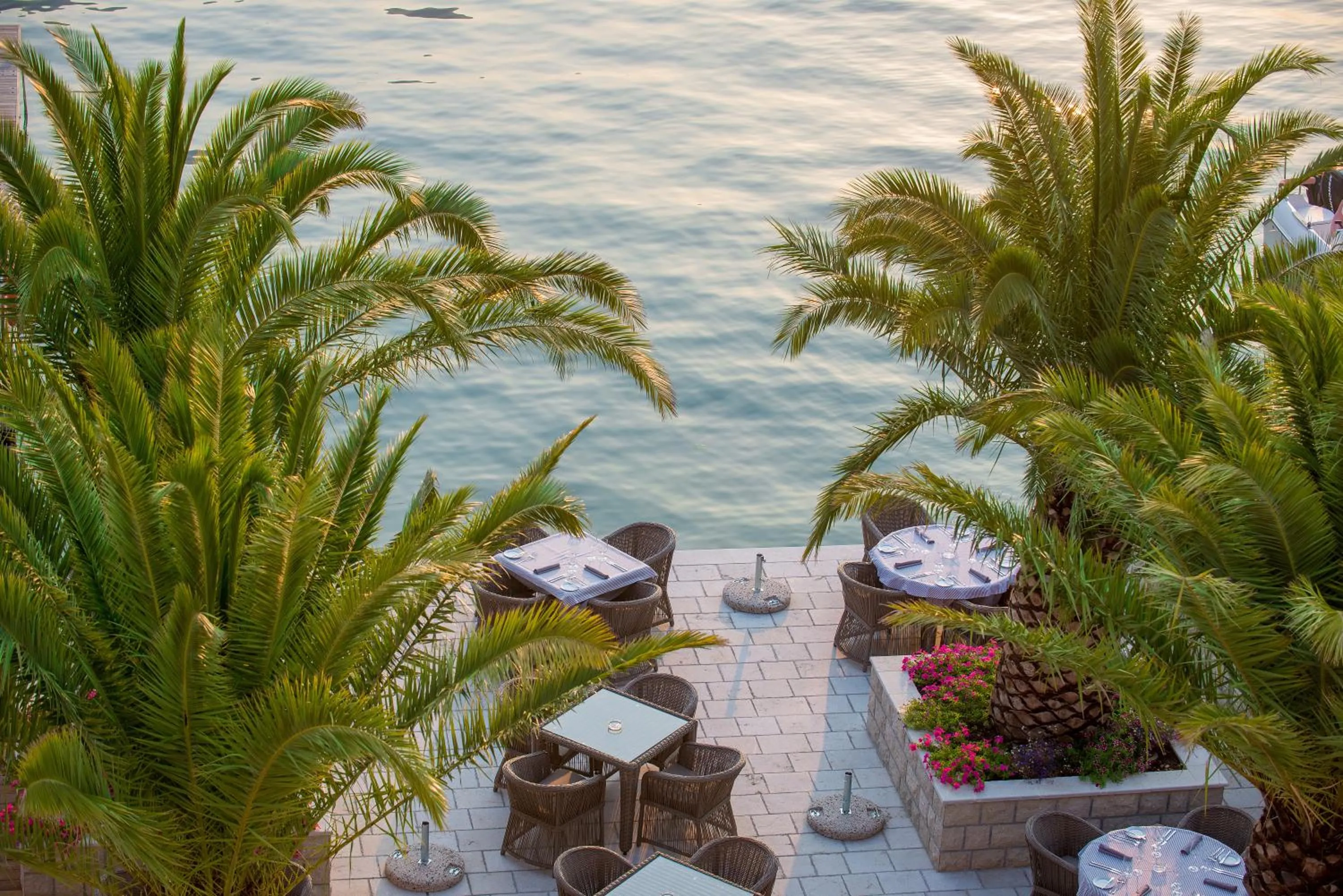 Restaurant/places to eat in Hotel Forza Terra