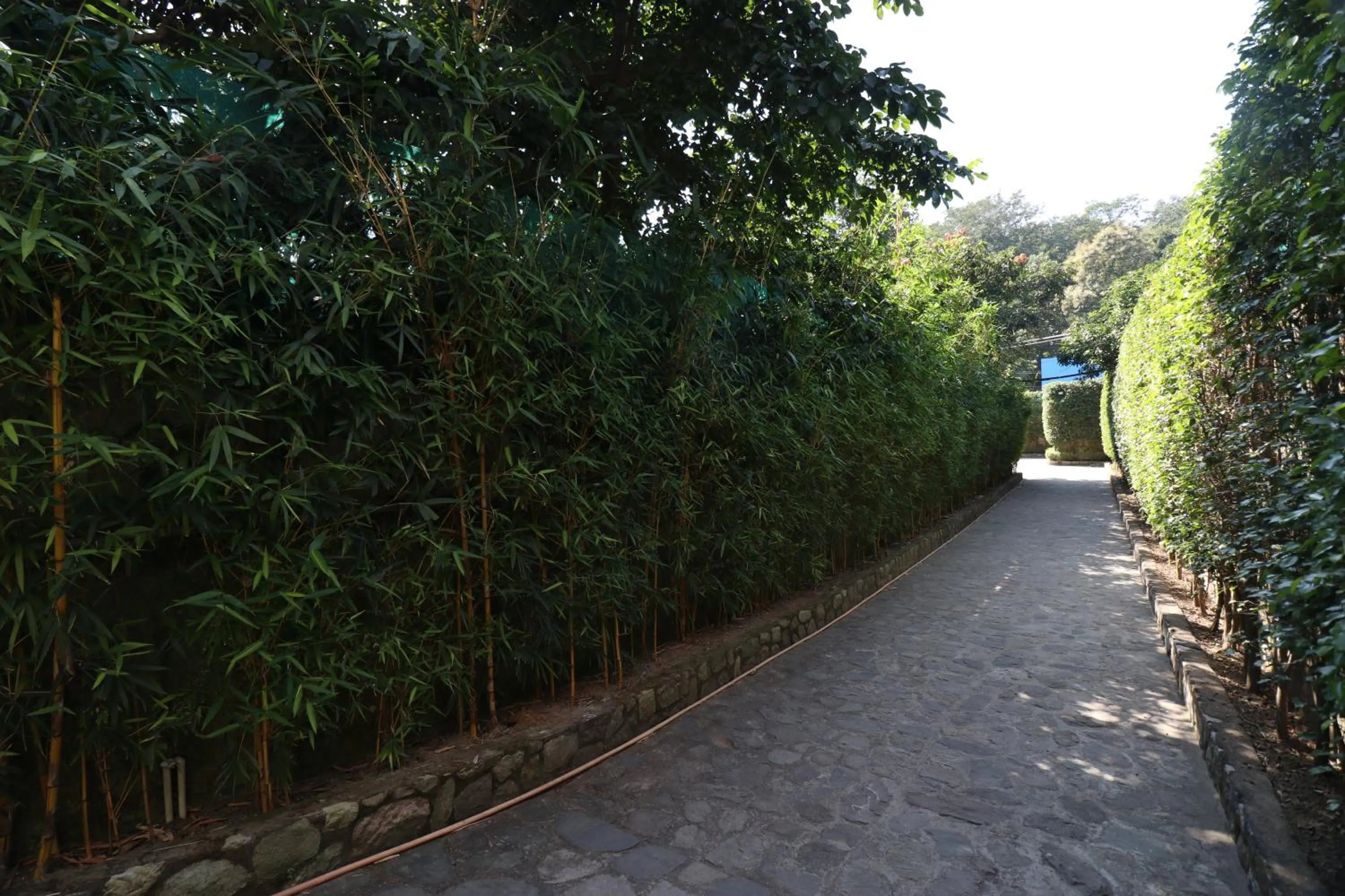 View (from property/room) in Corbett Comfort Lodge