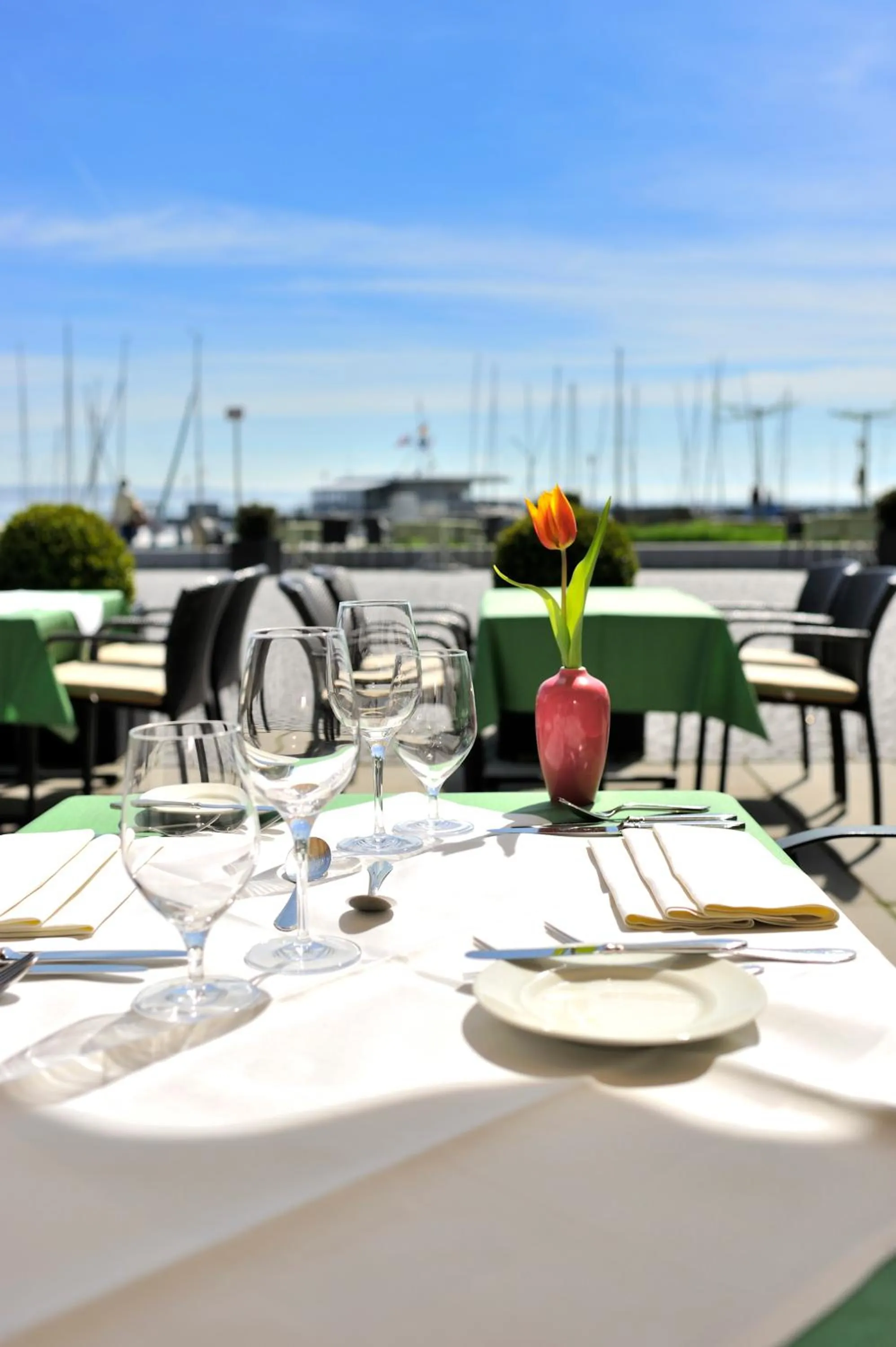 Balcony/Terrace in Hotel Schiff am See