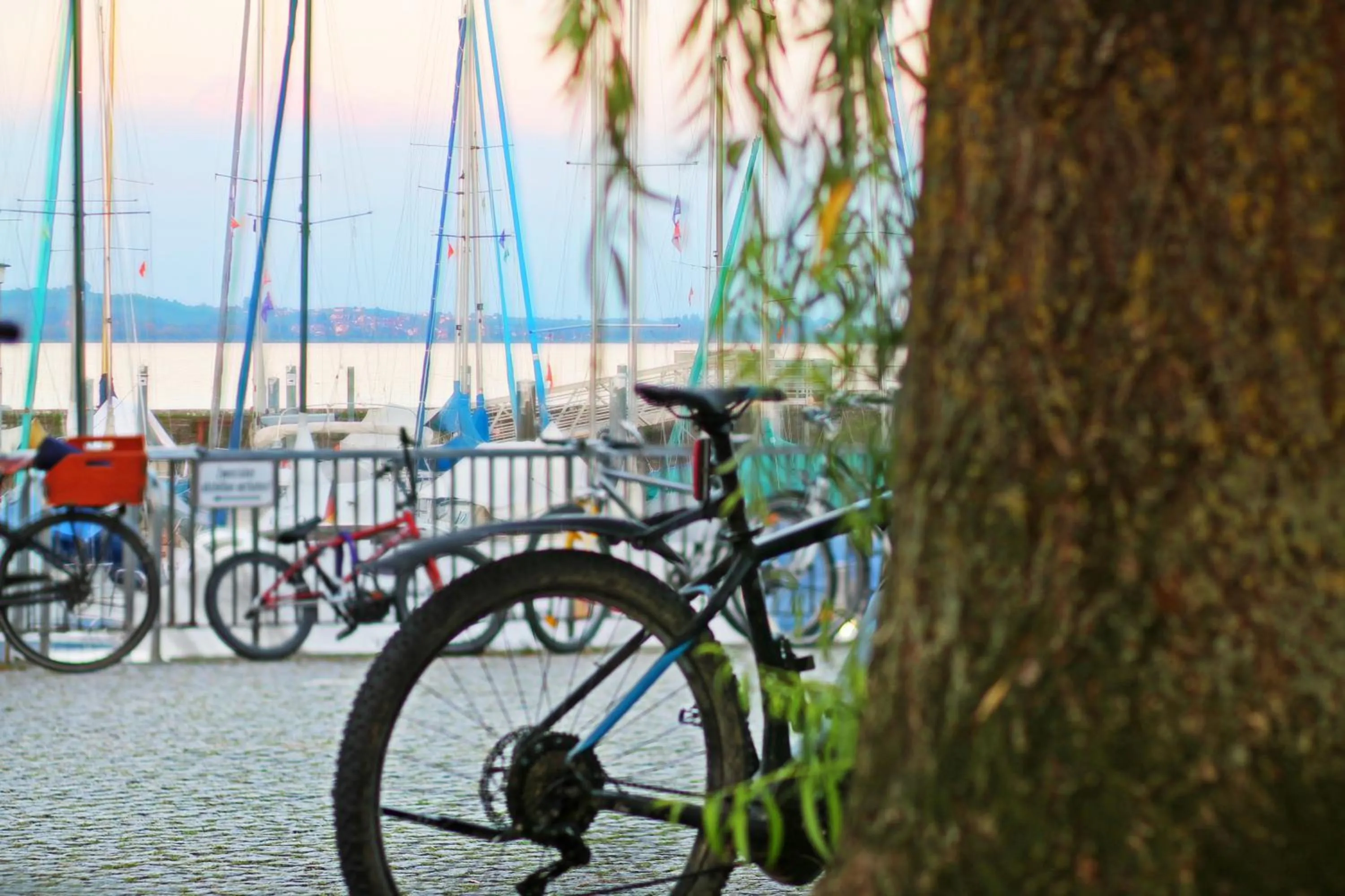Lake view in Hotel Schiff am See