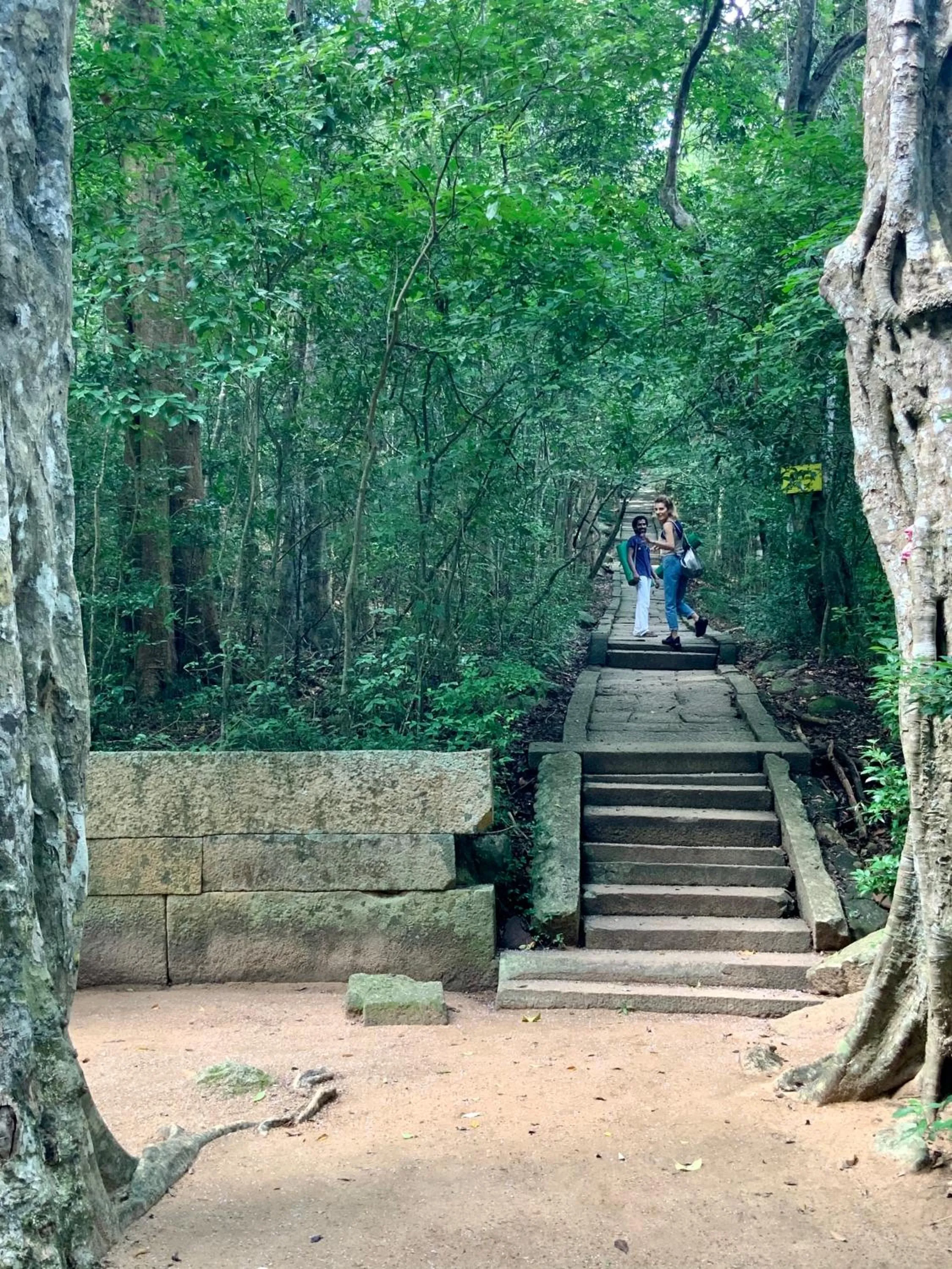 Activities in Athreya Ayurveda Ashram