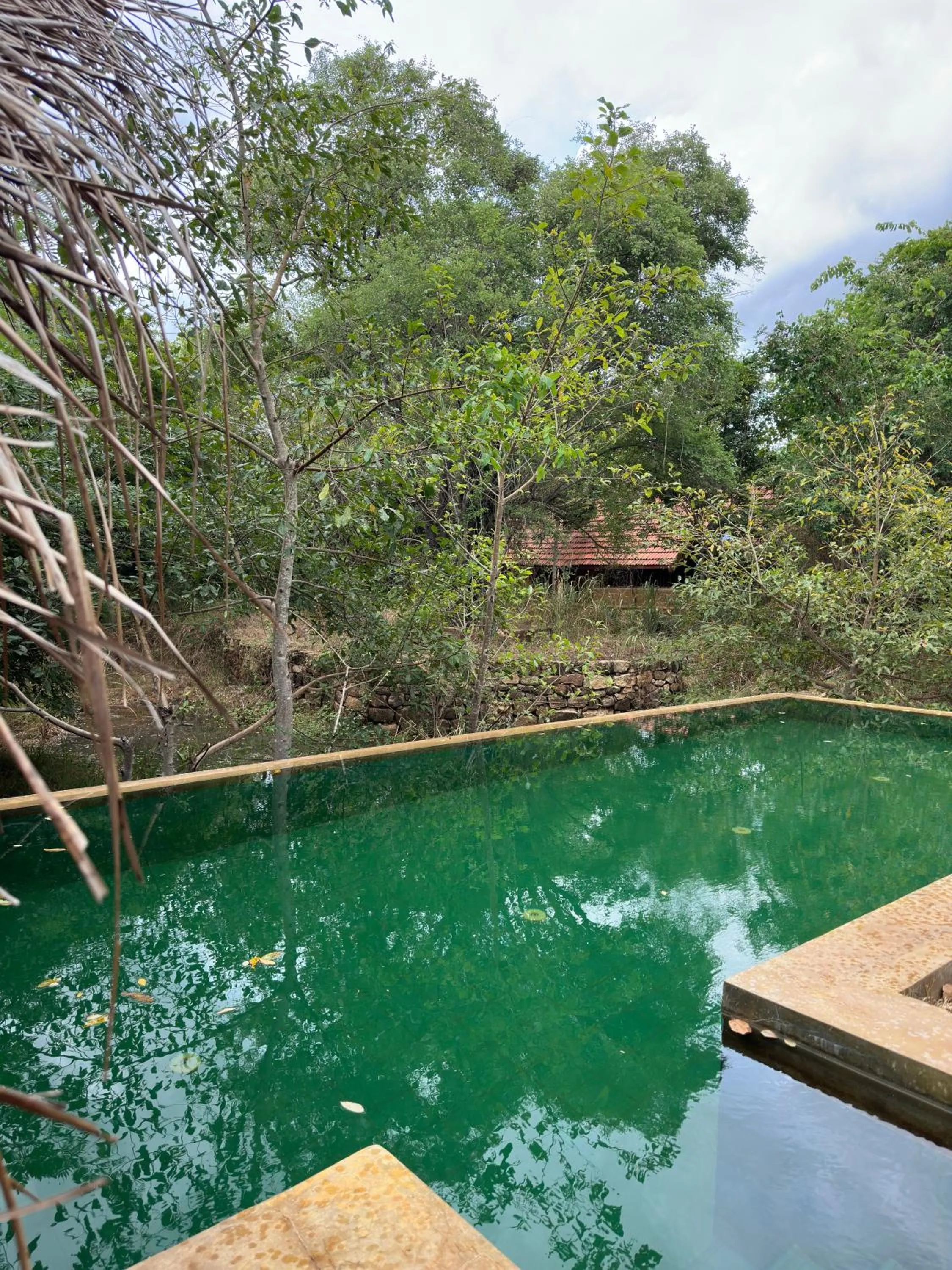 Day in Athreya Ayurveda Ashram