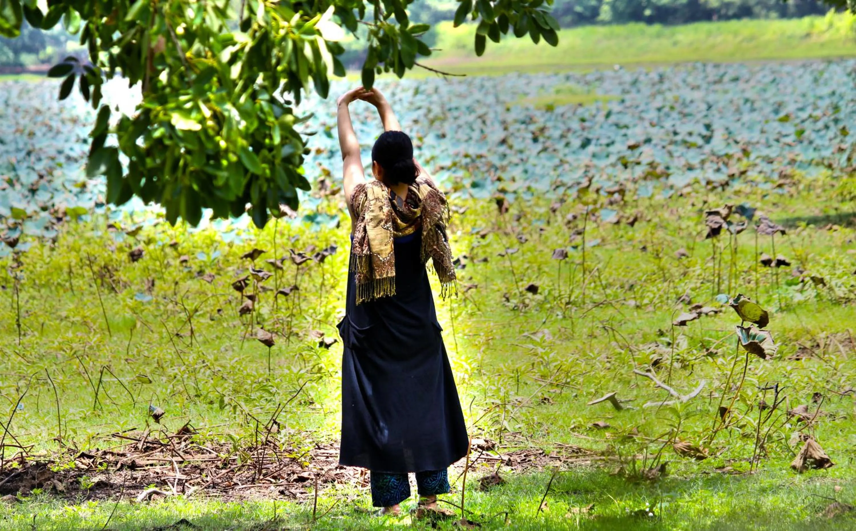 Natural landscape in Athreya Ayurveda Ashram