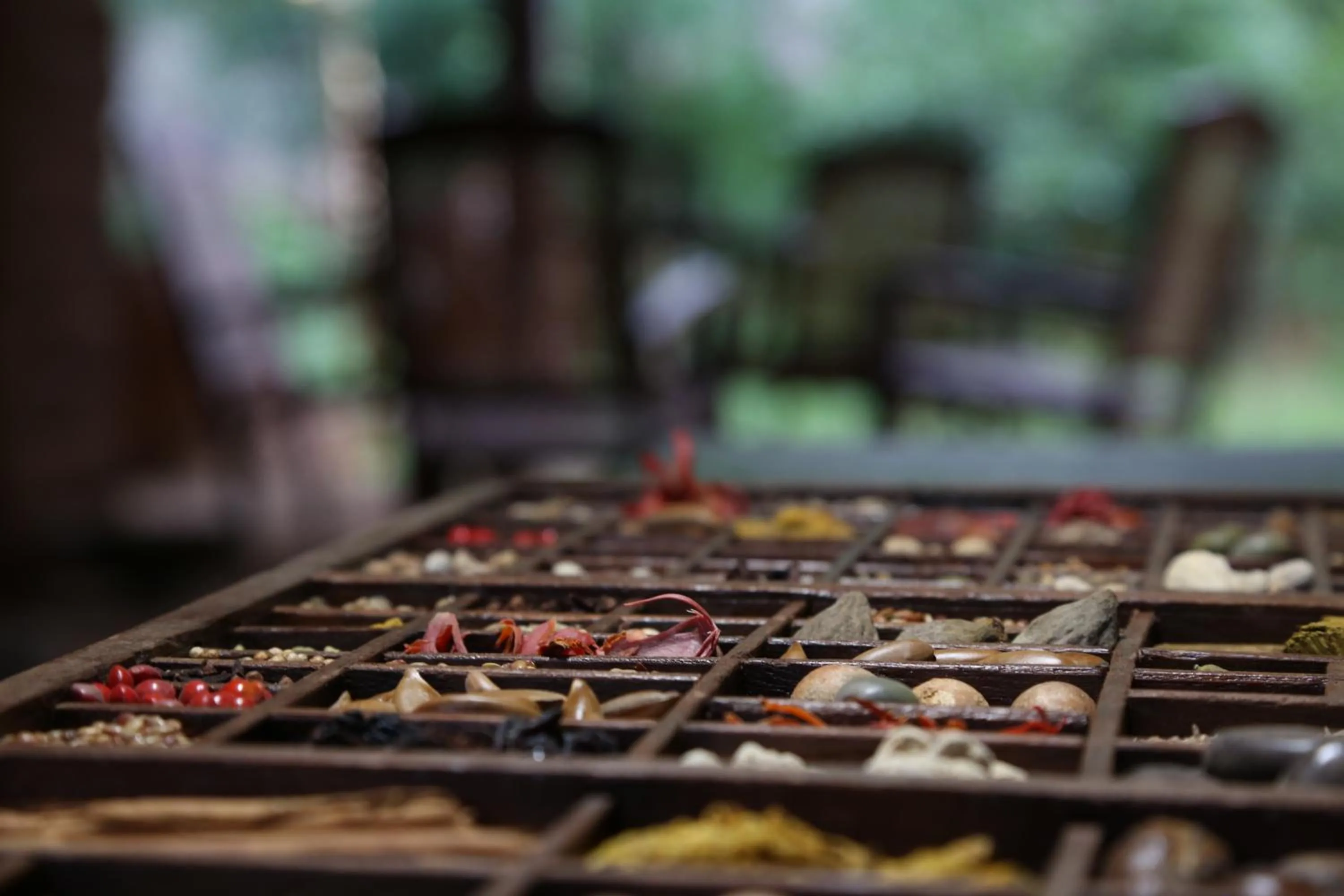 Other in Athreya Ayurveda Ashram