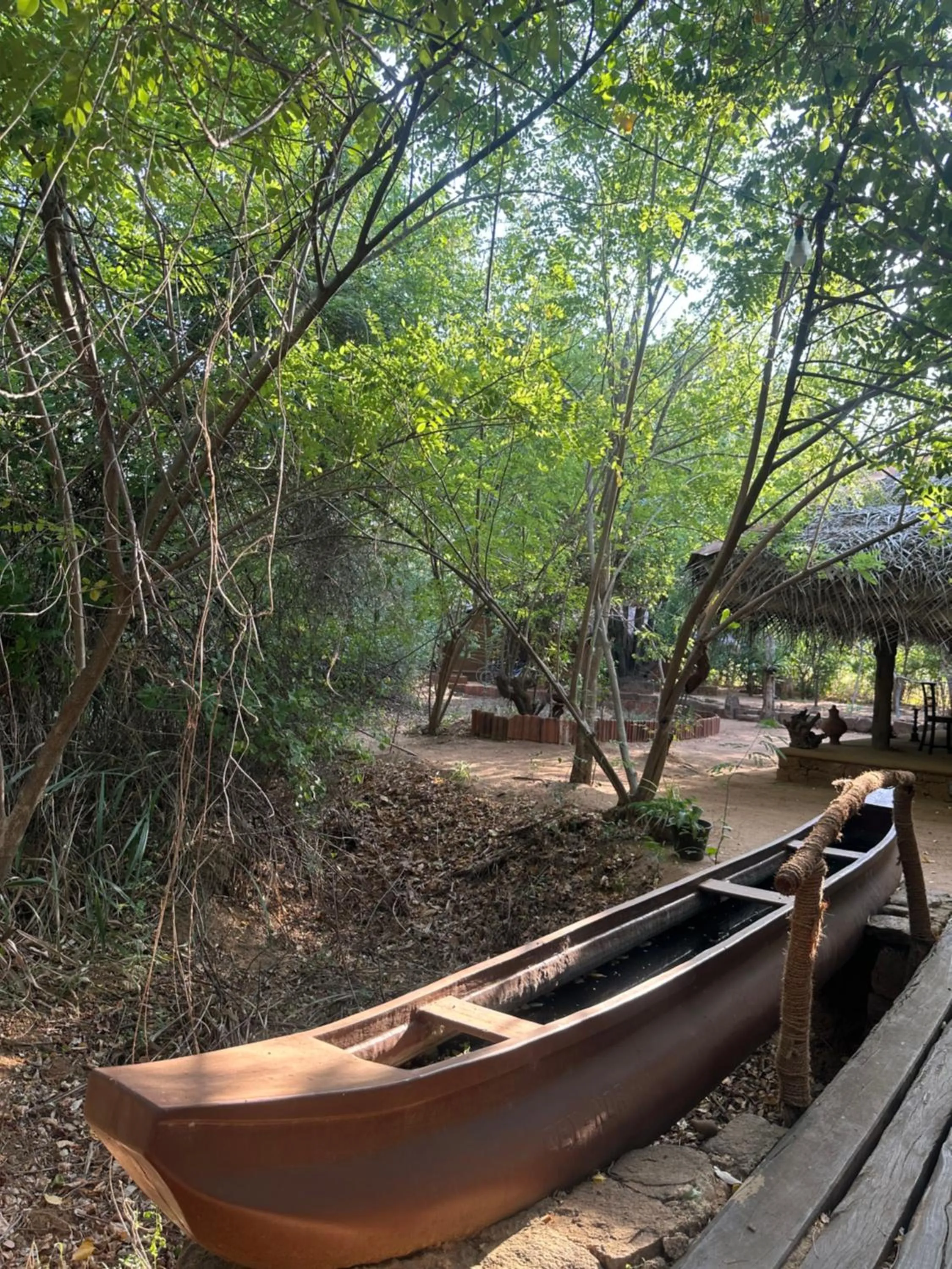 Restaurant/places to eat in Athreya Ayurveda Ashram