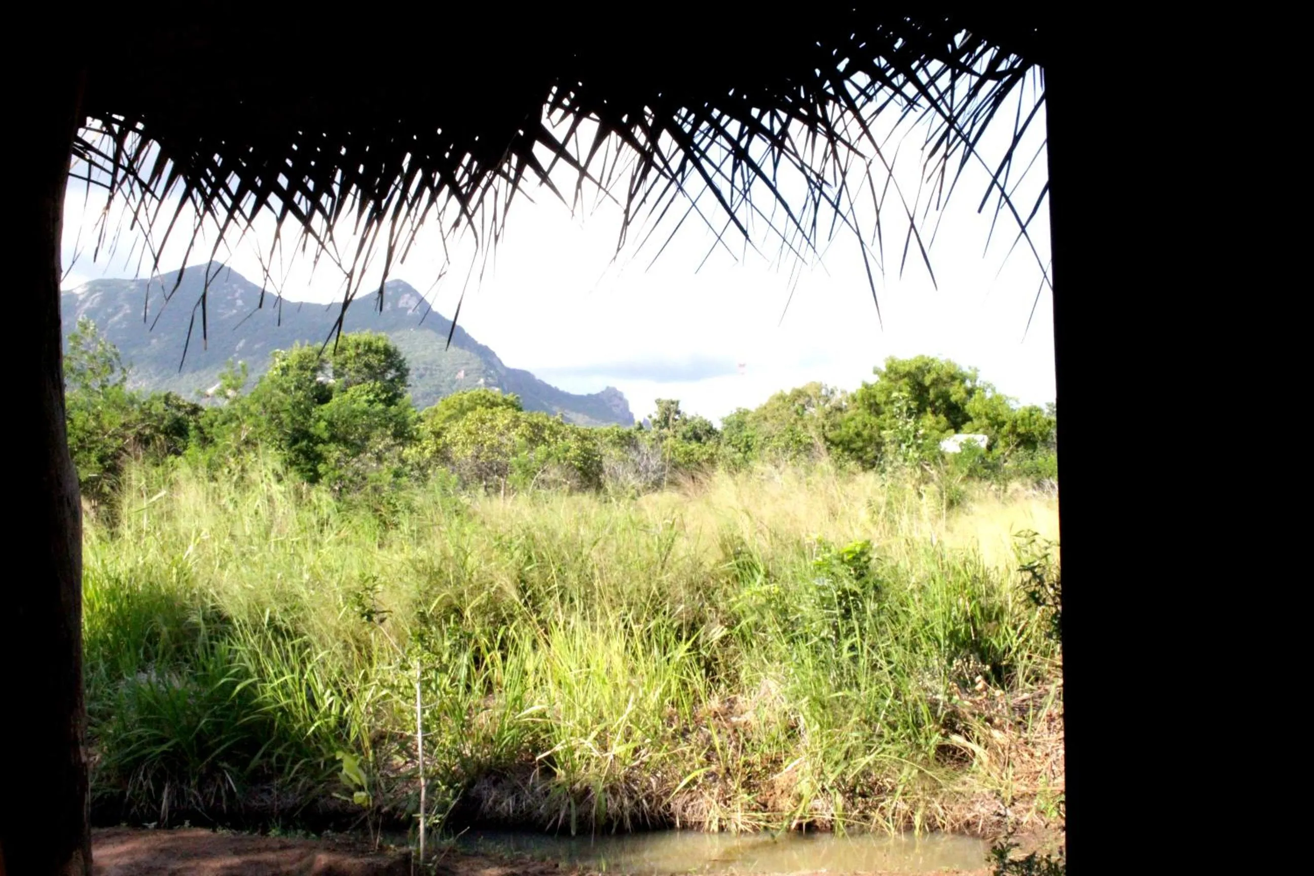 Garden in Athreya Ayurveda Ashram