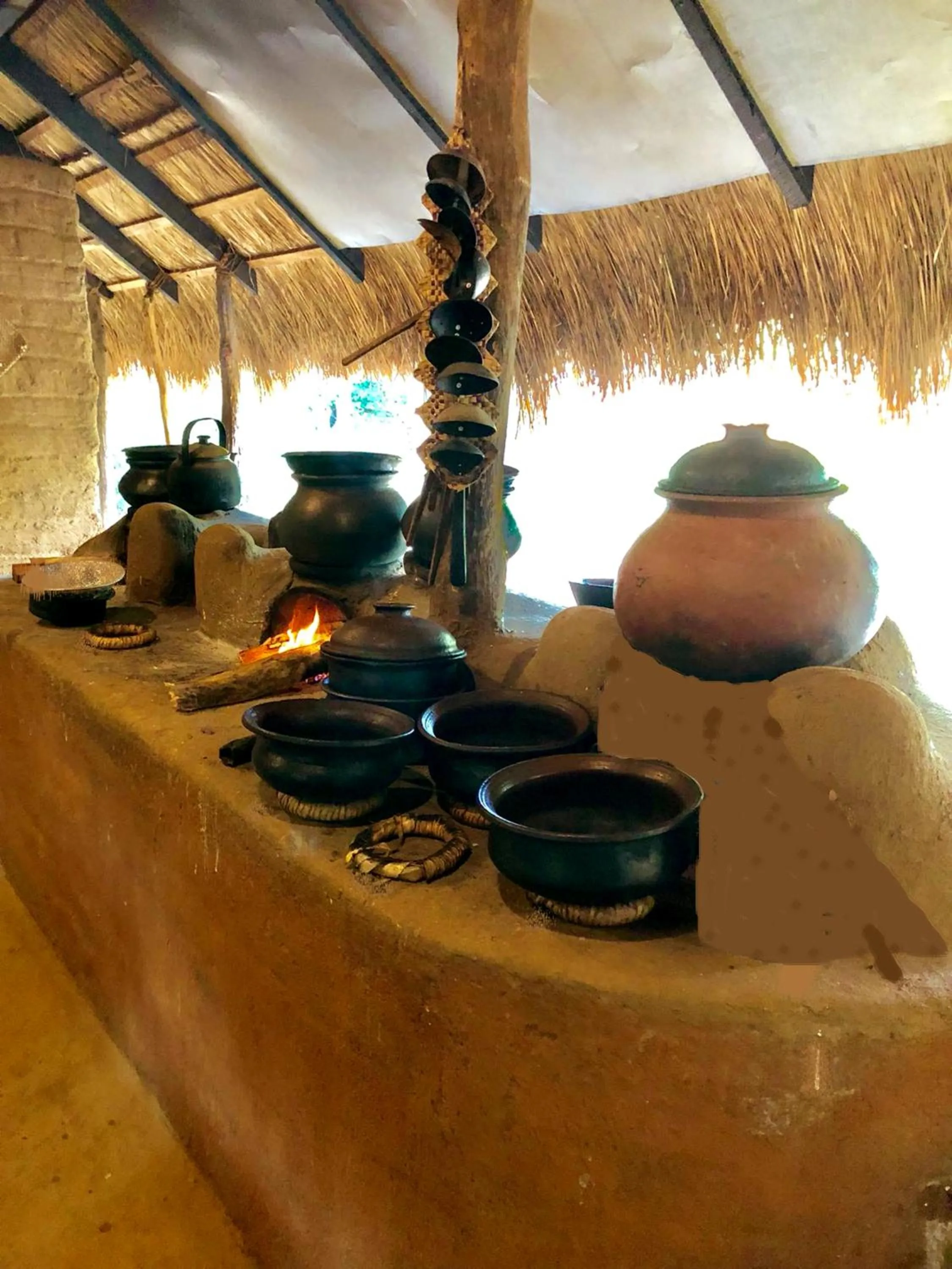 Restaurant/places to eat in Athreya Ayurveda Ashram